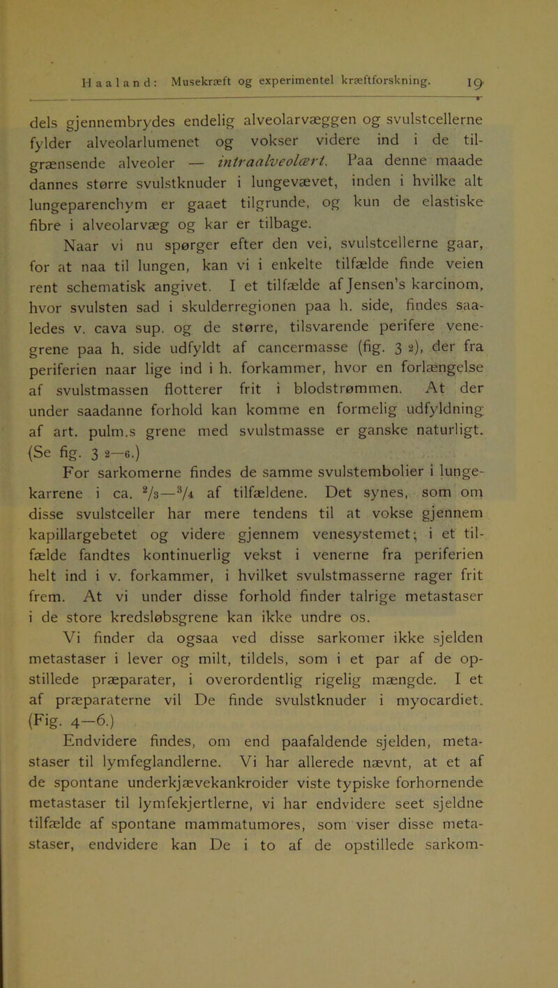 dels gjennembrydes endelig alveolarvæggen og svulstcellerne fylder alveolarlumenet og vokser videre ind i de til- grænsende alveoler — intvcicilv6ol(Bvt, Paa denne maade dannes større svulstknuder i lungevævet, inden i hvilke alt lungeparenchym er gaaet tilgrunde, og kun de elastiske fibre i alveolarvæg og kar er tilbage. Naar vi nu spørger efter den vei, svulstcellerne gaar, for at naa til lungen, kan vi i enkelte tilfælde finde veien rent schematisk angivet. I et tilfælde af Jensen’s karcinom, hvor svulsten sad i skulderregionen paa h. side, findes saa- ledes v. cava sup. og de større, tilsvarende perifere vene- grene paa h. side udfyldt af cancermasse (fig. 3 2), der fra periferien naar lige ind i h. forkammer, hvor en forlængelse af svulstmassen flotterer frit i blodstrømmen. At der under saadanne forhold kan komme en formelig udfyldning af art. pulm.s grene med svulstmasse er ganske naturligt. (Se fig. 3 2-6.) For sarkomerne findes de samme svulstembolier i lunge- karrene i ca. 2/s—3/i af tilfældene. Det synes, som om disse svulstceller har mere tendens til at vokse gjennem kapillargebetet og videre gjennem venesystemet; i et til- fælde fandtes kontinuerlig vekst i venerne fra periferien helt ind i v. forkammer, i hvilket svulstmasserne rager frit frem. At vi under disse forhold finder talrige metastaser i de store kredsløbsgrene kan ikke undre os. Vi finder da ogsaa ved disse sarkomer ikke sjelden metastaser i lever og milt, tildels, som i et par af de op- stillede præparater, i overordentlig rigelig mængde. I et af præparaterne vil De finde svulstknuder i myocardiet. (Fig. 4—6.) Endvidere findes, om end paafaldende sjelden, meta- staser til lymfeglandlerne. Vi har allerede nævnt, at et af de spontane underkjævekankroider viste typiske forhornende metastaser til lymfekjertlerne, vi har endvidere seet sjeldne tilfælde af spontane mammatumores, som viser disse meta- staser, endvidere kan De i to af de opstillede sarkom-