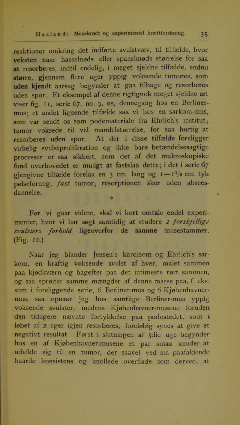 reaktioner omkring det indførte svulstvæv, til tilfælde, hvor veksten naar hasselnøds eller spansknøds størrelse for saa at resorberes, indtil endelig, i meget sjeldne tilfælde, endnu større, gjennem flere uger yppig voksende tumores, som uden kjendt aarsag begynder at gaa tilbage og resorberes uden spor. Et eksempel af denne rigtignok meget sjeldne art viser fig. u, serie 67, no. 9, os, dennegang hos en Berliner- mus; et andet lignende tilfælde saa vi hos en sarkom-mus, som var sendt os som podemateriale fra Ehrlich’s institut; tumor voksede til vel mandelstørrelse, for saa hurtig at resorberes uden spor. At der i disse tilfælde foreligger virkelig svulstproliferation og ikke bare betændelsesagtige processer er saa sikkert, som det af det makroskopiske fund overhovedet er muligt at fastslaa dette; i det i serie 67 gjengivne tilfælde forelaa en 3 cm. lang og i — 11/a cm. tyk pølseformig, fast tumor; resorptionen sker uden absces- dannelse. * Før vi gaar videre, skal vi kort omtale endel experi- menter, hvor vi har søgt samtidig at studere 2 forskjellige svulsters forhold ligeoverfor de samme musestammer. (Fig. 10.) Naar jeg blander Jensen’s karcinom og Ehrlich’s sar- kom, en kraftig voksende svulst af hver, malet sammen paa kjødkværn og bagefter paa det intimeste rørt sammen, og saa sprøiter samme mængder af denne masse paa, f. eks. som i foreliggende serie, 6 Berliner-mus og 6 Kjøbenhavner- mus, saa opnaar jeg hos samtlige Berliner-mus yppig voksende svulster, medens Kjøbenhavner-musene foruden den tidligere nævnte fortykkelse paa podestedet, som i løbet af 2 uger igjen resorberes, foreløbig synes at give et negativt resultat. Først i slutningen af 3die uge begynder hos en af Kjøbenhavner-musene et par smaa knuder at udvikle sig til en tumor, der saavel ved sin paafaldende haarde konsistens og knollede overflade som derved, at