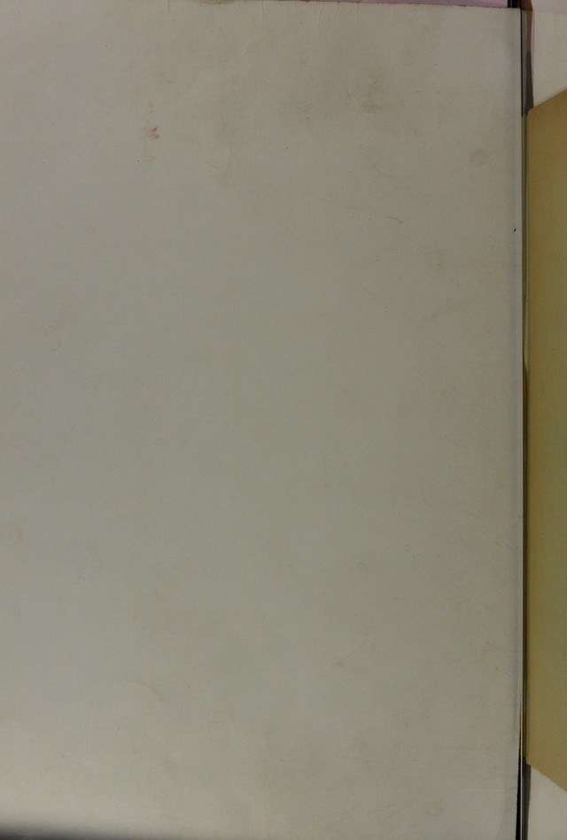 digitised image 2