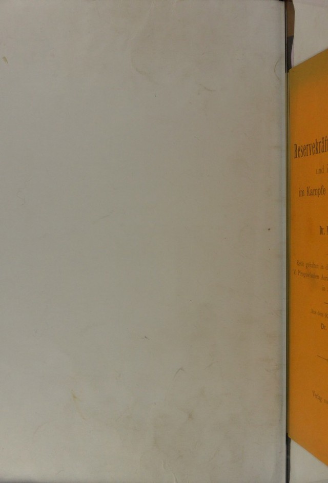 digitised image 2