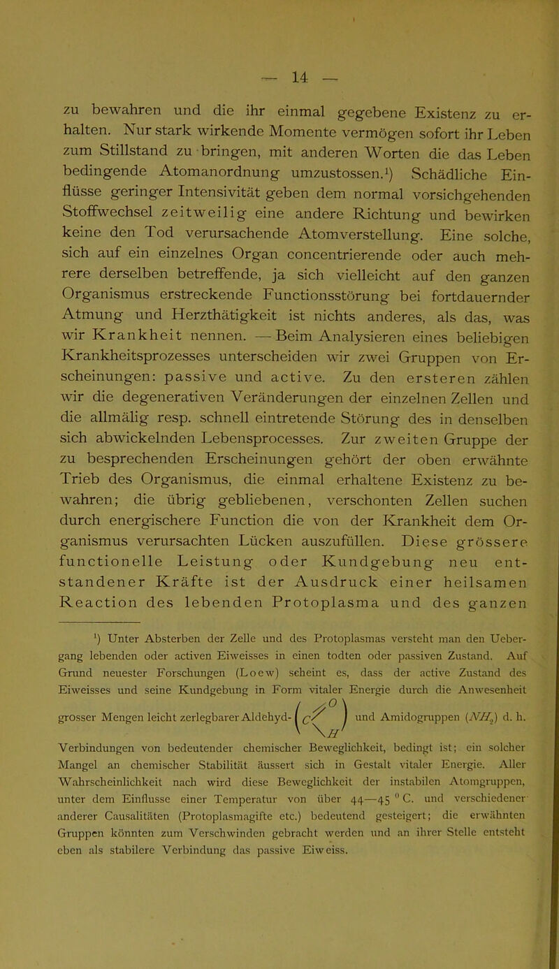 zu bewahren und die ihr einmal gegebene Existenz zu er- halten. Nur stark wirkende Momente vermögen sofort ihr Leben zum Stillstand zu bringen, mit anderen Worten die das Leben bedingende Atomanordnung umzustossen.1) Schädliche Ein- flüsse geringer Intensivität geben dem normal vorsichgehenden Stoffwechsel zeitweilig eine andere Richtung und bewirken keine den Tod verursachende Atomverstellung. Eine solche, sich auf ein einzelnes Organ concentrierende oder auch meh- rere derselben betreffende, ja sich vielleicht auf den ganzen Organismus erstreckende Functionsstörung bei fortdauernder Atmung und Herzthätigkeit ist nichts anderes, als das, was wir Krankheit nennen. —Beim Analysieren eines beliebigen Krankheitsprozesses unterscheiden wir zwei Gruppen von Er- scheinungen: passive und active. Zu den ersteren zählen wir die degenerativen Veränderungen der einzelnen Zellen und die allmälig resp. schnell eintretende Störung des in denselben sich ab wickelnden Lebensprocesses. Zur zweiten Gruppe der zu besprechenden Erscheinungen gehört der oben erwähnte Trieb des Organismus, die einmal erhaltene Existenz zu be- wahren; die übrig gebliebenen, verschonten Zellen suchen durch energischere Function die von der Krankheit dem Or- ganismus verursachten Lücken auszufüllen. Diese grössere functionelle Leistung oder Kundgebung neu ent- standener Kräfte ist der Ausdruck einer heilsamen Reaction des lebenden Protoplasma und des ganzen ’) Unter Absterben der Zelle und des Protoplasmas versteht man den Ueber- gang lebenden oder activen Eiweisses in einen todten oder passiven Zustand. Auf Grund neuester Forschungen (Loew) scheint es, dass der active Zustand des Eiweisses und seine Kundgebung in Form vitaler Energie durch die Anwesenheit grosser Mengen leicht zerlegbarer Aldehyd- und Amidogruppen (vV/Z,) d. h. Verbindungen von bedeutender chemischer Beweglichkeit, bedingt ist; ein solcher Mangel an chemischer Stabilität äussert sich in Gestalt vitaler Energie. Aller Wahrscheinlichkeit nach wird diese Beweglichkeit der instabilen Atomgruppen, unter dem Einflüsse einer Temperatur von über 44—45 0 C. und verschiedener anderer Causalitäten (Protoplasmagifte etc.) bedeutend gesteigert; die erwähnten Gruppen könnten zum Verschwinden gebracht werden und an ihrer Stelle entsteht eben als stabilere Verbindung das passive Eiweiss.