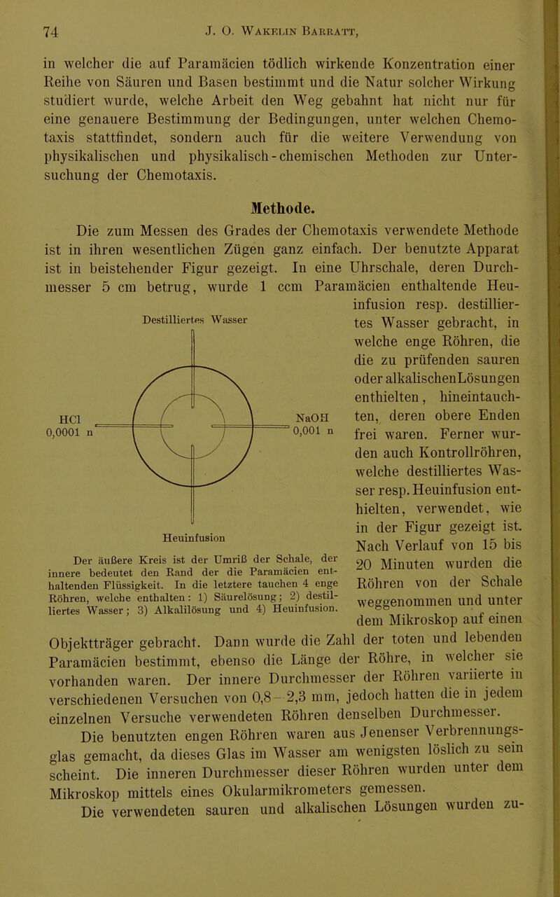 in welcher die auf Paramäcien tödlich wirkende Konzentration einer Reihe von Säuren und Basen bestimmt und die Natur solcher Wirkung studiert wurde, welche Arbeit den Weg gebahnt hat nicht nur für eine genauere Bestimmung der Bedingungen, unter welchen Chemo- taxis stattfindet, sondern auch für die weitere Verwendung von physikalischen und physikalisch - chemischen Methoden zur Unter- suchung der Chemotaxis. Methode. Die zum Messen des Grades der Chemotaxis verwendete Methode ist in ihren wesentlichen Zügen ganz einfach. Der benutzte Apparat ist in beistehender Figur gezeigt. In eine Uhrschale, deren Durch- messer 5 cm betrug, wurde 1 ccm Paramäcien enthaltende Heu- infusion resp. destillier- Destilliertes Wasser ^gg WaSSei’ gebracht, in welche enge Röhren, die die zu prüfenden sauren oder alkalischenLösungen enthielten, hineintauch- ten, deren obere Enden frei waren. Ferner wur- den auch Kontrollröhren, welche destilliertes Was- ser resp. Heuinfusion ent- hielten , verwendet, wie in der Figur gezeigt ist. Nach Verlauf von 15 bis 20 Minuten wurden die Röhren von der Schale weggenommen und unter dem Mikroskop auf einen Naon 0,001 n Der äußere Kreis ist der Umriß der Schale, der innere bedeutet den Rand der die Paramäcien ent- haltenden Flüssigkeit. In die letztere tauchen 4 enge Röhren, welche enthalten: 1) Säurelösung; 2) destil- liertes Wasser; 3) Alkalilösung und 4) Heuinfusion. Objektträger gebracht. Dann wurde die Zahl der toten und lebenden Paramäcien bestimmt, ebenso die Länge der Röhre, in welcher sie vorhanden waren. Der innere Durchmesser der Röhren vaiiieite in verschiedenen Versuchen von 0,8- 2,3 mm, jedoch hatten die in jedem einzelnen Versuche verwendeten Röhren denselben Durchmessei. Die benutzten engen Röhren waren aus Jenenser Verbrennungs- glas gemacht, da dieses Glas im Wasser am wenigsten löslich zu sein scheint. Die inneren Durchmesser dieser Röhren wurden unter dem Mikroskop mittels eines Okularmikrometers gemessen. Die verwendeten sauren und alkalischen Lösungen wurden zu-