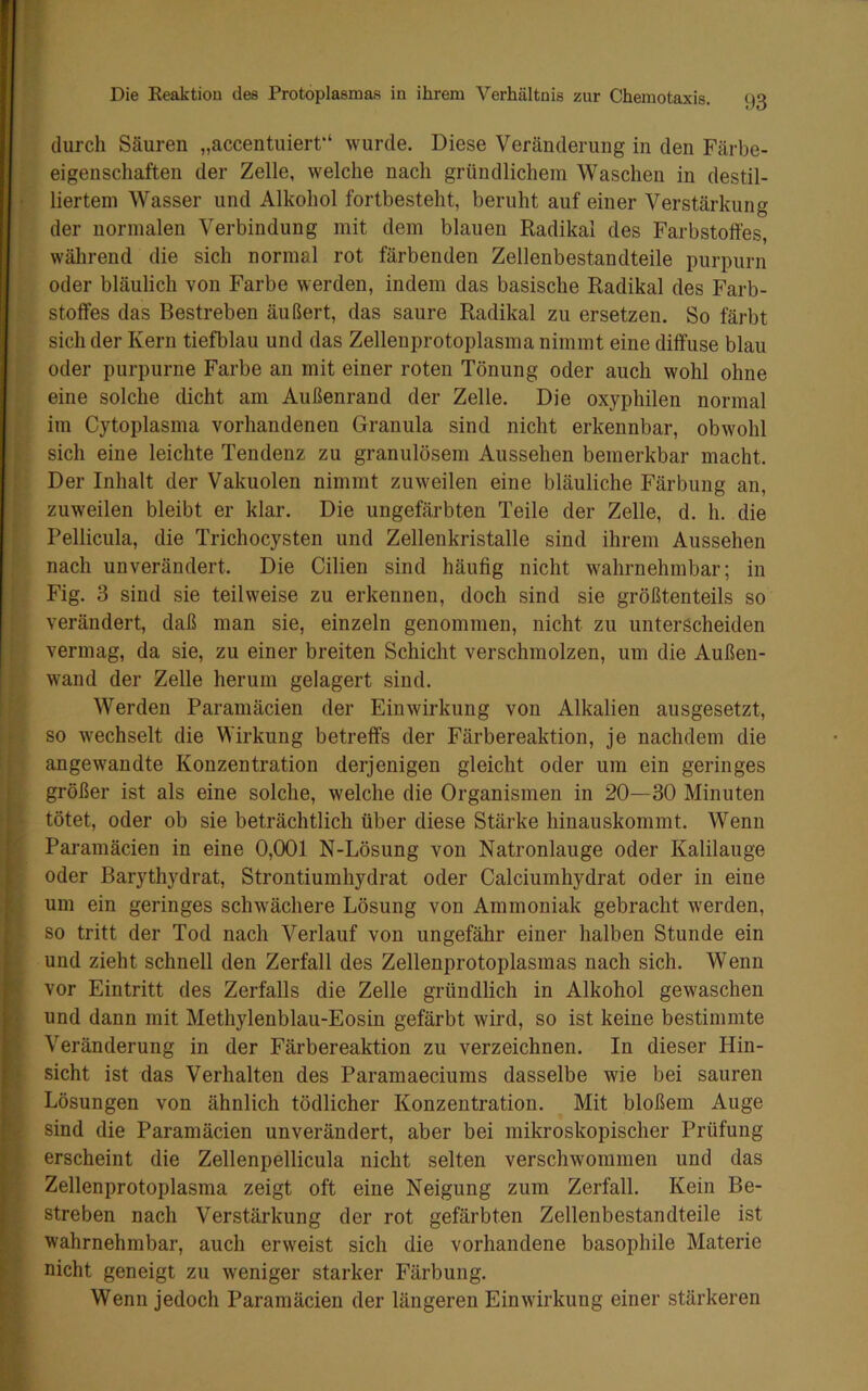 durch Säuren „accentuierf* wurde. Diese Veränderung in den Färbe- eigenschaften der Zelle, welche nach gründlichem Waschen in destil- ■ liertem Wasser und Alkohol fortbesteht, beruht auf einer Verstärkung der normalen Verbindung mit dem blauen Radikal des Farbstoffes, während die sich normal rot färbenden Zellenbestandteile purpurn oder bläulich von Farbe werden, indem das basische Radikal des Farb- stoffes das Bestreben äußert, das saure Radikal zu ersetzen. So färbt sich der Kern tiefblau und das Zellenprotoplasma nimmt eine diffuse blau oder purpurne Farbe an mit einer roten Tönung oder auch wohl ohne eine solche dicht am Außenrand der Zelle. Die oxyphilen normal im Cytoplasma vorhandenen Granula sind nicht erkennbar, obwohl sich eine leichte Tendenz zu granulösem Aussehen bemerkbar macht. Der Inhalt der Vakuolen nimmt zuweilen eine bläuliche Färbung an, zuweilen bleibt er klar. Die ungefärbten Teile der Zelle, d. h. die Pellicula, die Trichocysten und Zellenkristalle sind ihrem Aussehen nach unverändert. Die Cilien sind häufig nicht wahrnehmbar; in Fig. 3 sind sie teilweise zu erkennen, doch sind sie größtenteils so verändert, daß man sie, einzeln genommen, nicht zu unterscheiden vermag, da sie, zu einer breiten Schicht verschmolzen, um die Außen- W'and der Zelle herum gelagert sind. Werden Paramäcien der Einwirkung von Alkalien ausgesetzt, i so wechselt die Wirkung betreffs der Färbereaktion, je nachdem die I angewandte Konzentration derjenigen gleicht oder um ein geringes größer ist als eine solche, welche die Organismen in 20—30 Minuten tötet, oder ob sie beträchtlich über diese Stärke hinauskommt. Wenn Paramäcien in eine 0,001 N-Lösung von Natronlauge oder Kalilauge [ oder Barythydrat, Strontiumhydrat oder Calciumhydrat oder in eine I. um ein geringes schw’ächere Lösung von Ammoniak gebracht werden, so tritt der Tod nach Verlauf von ungefähr einer halben Stunde ein - und zieht schnell den Zerfall des Zellenprotoplasmas nach sich. Wenn » vor Eintritt des Zerfalls die Zelle gründlich in Alkohol gewaschen { und dann mit Methylenblau-Eosin gefärbt wird, so ist keine bestimmte 'f- Veränderung in der Färbereaktion zu verzeichnen. In dieser Hin- i» sicht ist das Verhalten des Paramaeciums dasselbe wie bei sauren ■ Lösungen von ähnlich tödlicher Konzentration. Mit bloßem Auge jr sind die Paramäcien unverändert, aber bei mikroskopischer Prüfung erscheint die Zellenpellicula nicht selten verschwommen und das ;• Zellenprotoplasma zeigt oft eine Neigung zum Zerfall. Kein Be- streben nach Verstärkung der rot gefärbten Zellenbestandteile ist . wahrnehmbar, auch erweist sich die vorhandene basophile Materie nicht geneigt zu weniger starker Färbung. Wenn jedoch Paramäcien der längeren Einwirkung einer stärkeren