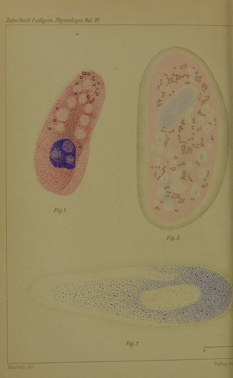 Fig.2. Barratt del Verlag vo: ///Ä