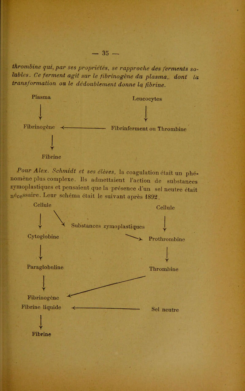 33 — thrombine qui, par ses propriétés, se rapproche des ferments so- lubles. Ce ferment agit sur le fibrinogène du plasma, dont là transformation ou le dédoublement donne la fibrine. Plasma Fibrinogène -<- Y Fibrine Leucocytes Fibrinferment ou Thrombine Pour Alex. Schmidt et ses élèves, la coagulation était un phé- nomène plus complexe. Ils admettaient l’action de substances zymoplastiques et pensaient que la présence d’un sel neutre était Cellule > \ l Cytoglobine ■ > Paraglobuline ' . > r. fv. Fibrinogène Fibrine liquide > f Fibrine Cellule Substances zymoplastiques Prothrombine t Y Thrombine Sel neutre