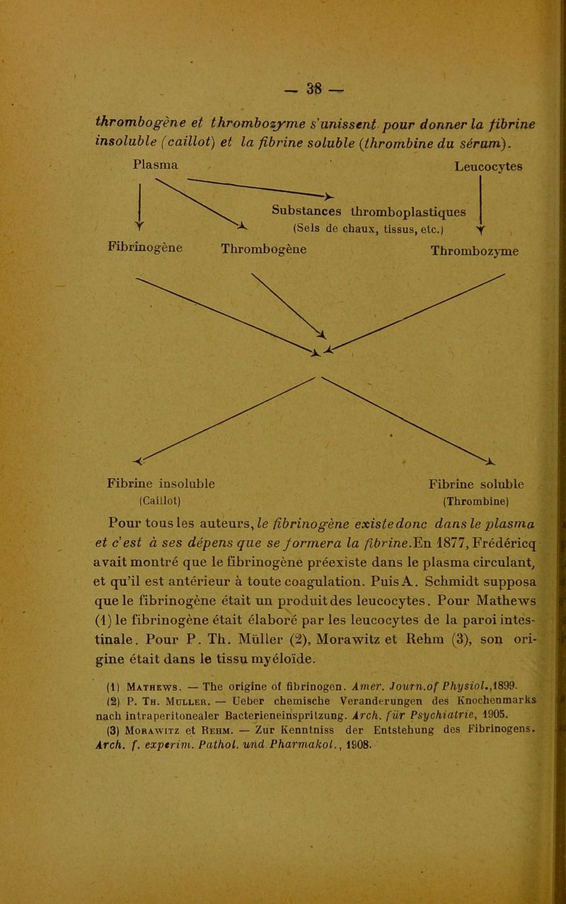 thrombogène et thrombozyme s'unissent pour donner la fibrine insoluble (caillot) et la fibrine soluble {thrombine du sérum). Plasma Fibrinogène Leucocytes Substances ihromboplastiques (Sels de chaux, tissus, etc.) Thrombogène Thrombozyme Fibrine insoluble Fibrine soluble (Caillot) (Thrombine) Pour tous les auteurs, le fibrinogène existe donc dans le plasma et c' est à ses dépens que se formera la fibrine. En 1877, Frédéricq avait montré que le fibrinogène préexiste dans le plasma circulant, et qu’il est antérieur à toute coagulation. Puis A. Schmidt supposa que le fibrinogène était un produit des leucocytes. Pour Mathews (1) le fibrinogène était élaboré par les leucocytes de la paroi intes- tinale. Pour P. Th. Muller (2), Morawitz et Rehm (3), son ori- gine était dans le tissu myéloïde. (1) Mathews. —The origine of fibrinogen. Amer. Journ.of Physiol., 1899. (2) P. Th. Muller. — Ueber chemische Veranderungcn des Knochenmarks nach intraperitonealer Bacterieneinspritzung. Arch. fur Psychiatrie, 1905. (3) Morawitz et Rehm. — Zur Kenntniss der Entstehung des Fibrinogens. Arch. f. experim. Pathol, und Pharmakot., 1908.