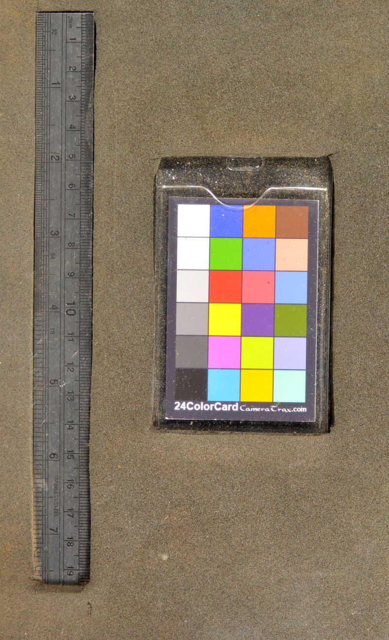 No text description is available for this image