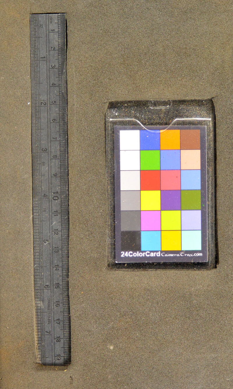 24ColorCard Lamerû Cra>. - — - (D