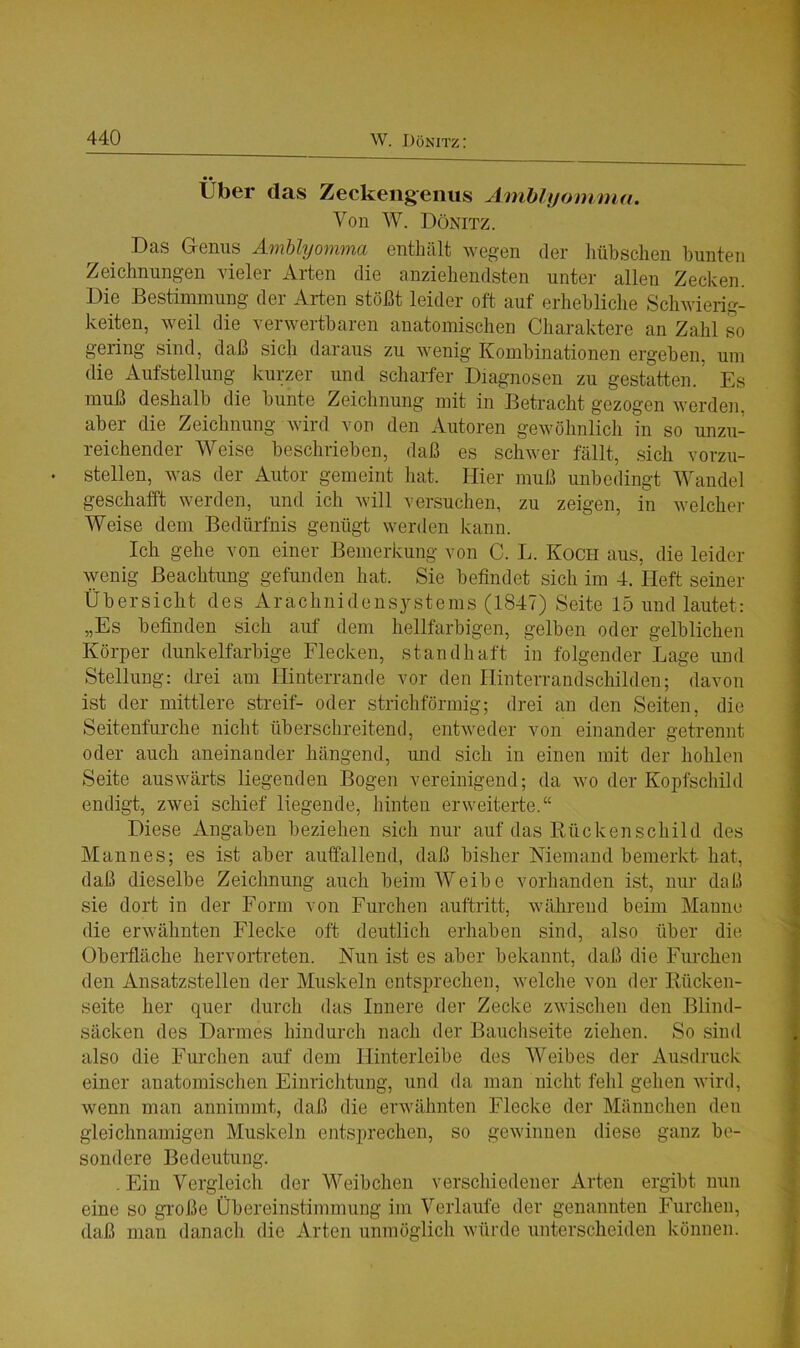 • • Uber das Zeckengenus Amblyomma. Von W. Dönitz. Das Genus Amblyomma enthält wegen der hübschen bunten Zeichnungen vieler Arten die anziehendsten unter allen Zecken. Die Bestimmung der Arten stößt leider oft auf erhebliche Schwierig- keiten, weil die verwertbaren anatomischen Charaktere an Zahl so gering sind, daß sich daraus zu wenig Kombinationen ergeben, um die Aufstellung kurzer und scharfer Diagnosen zu gestatten.’ Es muß deshalb die bunte Zeichnung mit in Betracht gezogen werden, aber die Zeichnung wird von den Autoren gewöhnlich in so unzu- reichender Weise beschrieben, daß es schwer fällt, sich vorzu- stellen, was der Autor gemeint hat. Hier muß unbedingt Wandel geschafft werden, und ich will versuchen, zu zeigen, in welcher Weise dem Bedürfnis genügt werden kann. Ich gehe von einer Bemerkung von C. L. Koch aus, die leider wenig Beachtung gefunden hat. Sie befindet sich im 4. Heft seiner Übersicht des Arachnidensystems (1847) Seite 15 und lautet: „Es befinden sich auf dem hellfarbigen, gelben oder gelblichen Körper dunkelfarbige Flecken, standhaft in folgender Lage und Stellung: drei am Hinterrande vor den Hinterrandschilden; davon ist der mittlere streif- oder strichförmig; drei an den Seiten, die Seitenfurche nicht überschreitend, entweder von einander getrennt oder auch aneinander hängend, und sich in einen mit der hohlen Seite auswärts liegenden Bogen vereinigend; da wo der Kopfschild endigt, zwei schief liegende, hinten erweiterte.“ Diese Angaben beziehen sich nur auf das Rückenscliild des Mannes; es ist aber auffallend, daß bisher Niemand bemerkt hat, daß dieselbe Zeichnung auch beim Weibe vorhanden ist, nur daß sie dort in der Form von Furchen auftritt, während beim Manne die erwähnten Flecke oft deutlich erhaben sind, also über die Oberfläche hervortreten. Nun ist es aber bekannt, daß die Furchen den Ansatzstellen der Muskeln entsprechen, welche von der Rücken- seite her quer durch das Innere der Zecke zwischen den Blind- säcken des Darmes hindurch nach der Bauchseite ziehen. So sind also die Furchen auf dem Hinterleibe des Weibes der Ausdruck einer anatomischen Einrichtung, und da man nicht fehl gehen wird, wenn man annimmt, daß die erwähnten Flecke der Männchen den gleichnamigen Muskeln entsprechen, so gewinnen diese ganz be- sondere Bedeutung. . Ein Vergleich der Weibchen verschiedener Arten ergibt nun eine so große Übereinstimmung im Verlaufe der genannten Furchen, daß man danach die Arten unmöglich würde unterscheiden können.