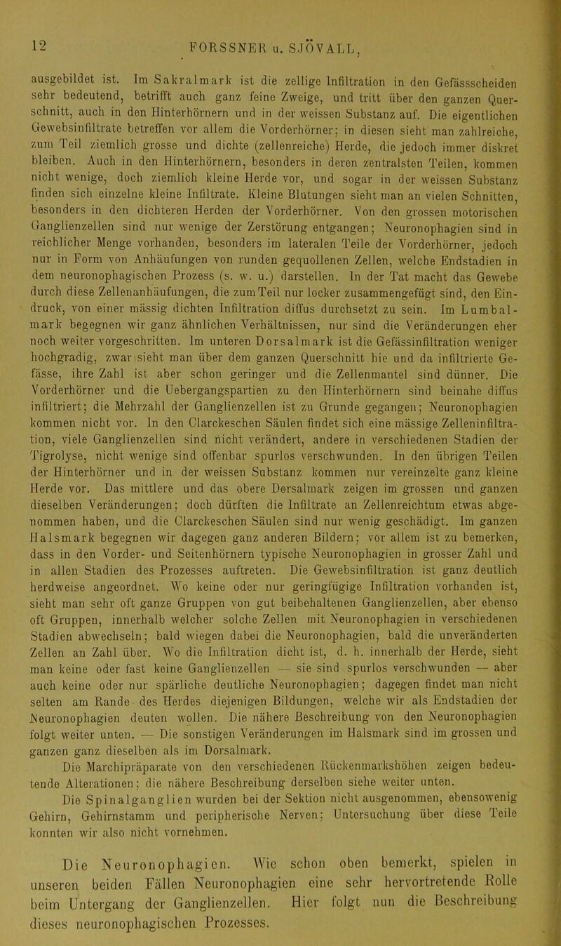 ausgebildet ist. Im Sakralmark ist die zellige Infiltration in den Gefässscheiden selu bedeutendj betrifft auch ganz feine Zweige, und tritt über den ganzen Quer- schnitt, auch in den Hinterhörnern und in der weissen Substanz auf. Die eigentlichen Gewebsinfiltrate betreffen vor allem die Vorderhörner; in diesen sieht man zahlreiche, zum Teil ziemlich grosse und dichte (zellenreiche) Herde, die jedoch immer diskret bleiben. Auch in den Hinterhörnern, besonders in deren zentralsten Teilen, kommen nicht wenige, doch ziemlich kleine Herde vor, und sogar in der weissen Substanz finden sich einzelne kleine Infiltrate. Kleine Blutungen sieht man an vielen Schnitten, besonders in den dichteren Herden der Yorderhörner. Von den grossen motorischen Ganglienzellen sind nur wenige der Zerstörung entgangen; Neuronophagien sind in reichlicher Menge vorhanden, besonders im lateralen Teile der Vorderhörner, Jedoch nur in Form von Anhäufungen von runden gequollenen Zellen, welche Endstadien in dem neuronophagischen Prozess (s. w. u.) darstellen, ln der Tat macht das Gewebe durch diese Zellenanhäufungen, die zum Teil nur locker zusammengefügt sind, den Ein- druck, von einer mässig dichten Infiltration diffus durchsetzt zu sein. Im Lumbal- mark begegnen wir ganz ähnlichen Verhältnissen, nur sind die Veränderungen eher noch weiter vorgeschritten. Im unteren Dorsalmark ist die Gefässinfiltration weniger hochgradig, zwar sieht man über dem ganzen Querschnitt hie und da infiltrierte Ge- fässe, ihre Zahl ist aber schon geringer und die Zellenmantel sind dünner. Die Vorderhörner und die Uebergangspartien zu den Hinterhörnern sind beinahe diffus infiltriert; die Mehrzahl der Ganglienzellen ist zu Grunde gegangen; Neuronophagien kommen nicht vor. In den Clarckeschen Säulen findet sich eine mässige Zelleninfiltra- tion, viele Ganglienzellen sind nicht verändert, andere in verschiedenen Stadien der Tigrolyse, nicht wenige sind offenbar spurlos verschwunden. In den übrigen Teilen der Hinterhörner und in der weissen Substanz kommen nur vereinzelte ganz kleine Herde vor. Das mittlere und das obere Dorsalmark zeigen im grossen und ganzen dieselben Veränderungen; doch dürften die Infiltrate an Zellenreichtum etwas abge- nommen haben, und die Clarckeschen Säulen sind nur wenig geschädigt. Im ganzen Halsmark begegnen wir dagegen ganz anderen Bildern; vor allem ist zu bemerken, dass in den Vorder- und Seitenhörnern typische Neuronophagien in grosser Zahl und in allen Stadien des Prozesses auftreten. Die Gewebsinfiltration ist ganz deutlich herdweise angeordnet. Wo keine oder nur geringfügige Infiltration vorhanden ist, sieht man sehr oft ganze Gruppen von gut beibehaltenen Ganglienzellen, aber ebenso oft Gruppen, innerhalb welcher solche Zellen mit Neuronophagien in verschiedenen Stadien abwechseln; bald wiegen dabei die Neuronophagien, bald die unveränderten Zellen an Zahl über. Wo die Infiltration dicht ist, d. h. innerhalb der Herde, sieht man keine oder fast keine Ganglienzellen — sie sind spurlos verschwunden — aber auch keine oder nur spärliche deutliche Neuronophagien; dagegen findet man nicht selten am Rande des Herdes diejenigen Bildungen, welche wir als Endstadien der Neuronophagien deuten wollen. Die nähere Beschreibung von den Neuronophagien folgt weiter unten. — Die sonstigen Veränderungen im Halsmark sind im grossen und ganzen ganz dieselben als im Dorsalmark. Die Marchipräparate von den verschiedenen Rückenmarkshöhen zeigen bedeu- tende Alterationen; die nähere Beschreibung derselben siehe weiter unten. Die Spinalganglien wurden bei der Sektion nicht ausgenommen, ebensowenig Gehirn, Gehirnstamm und peripherische Nerven; Untersuchung über diese Teile konnten wir also nicht vornehmen. Die Neuronophagien. Wie schon oben bemerkt, spielen in unseren beiden Fällen Neuronophagien eine sehr hervortretende Eolle beim Untergang der Ganglienzellen. Hier folgt nun die Beschreibung dieses neuronophagischen Prozesses.