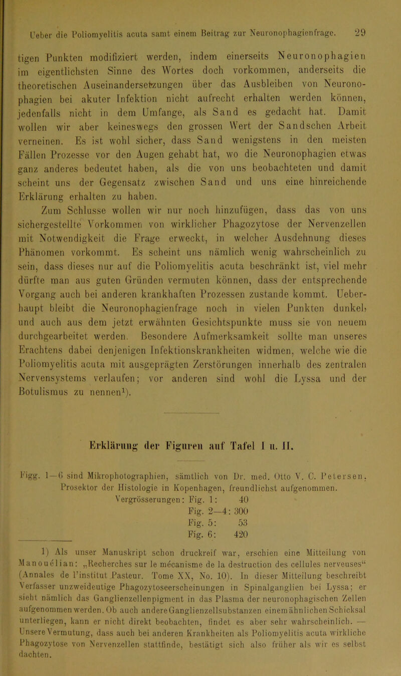 tigen Punkten modifiziert werden, indem einerseits Neuronophagien im eigentlichsten Sinne des Wortes doch verkommen, anderseits die theoretischen Auseinanderseirzungen über das Ausbleiben von Neurono- phagien bei akuter Infektion nicht aufrecht erhalten werden können, jedenfalls nicht in dem Umfange, als Sand es gedacht hat. Damit wollen wir aber keineswegs den grossen Wert der Sand sehen Arbeit verneinen. Es ist wohl sicher, dass Sand wenigstens in den meisten Fällen Prozesse vor den Augen gehabt hat, wo die Neuronophagien etwas ganz anderes bedeutet haben, als die von uns beobachteten und damit scheint uns der Gegensatz zwischen Sand und uns eine hinreichende Erklärung erhalten zu haben. Zum Schlüsse wollen wir nur noch hinzufügen, dass das von uns sichergestellte Vorkommen von wirklicher Phagozytose der Nervenzellen mit Notwendigkeit die Frage erweckt, in welcher Ausdehnung dieses Phänomen vorkommt. Es scheint uns nämlich wenig wahrscheinlich zu sein, dass dieses nur auf die Poliomyelitis acuta beschränkt ist, viel mehr dürfte man aus guten Gründen vermuten können, dass der entsprechende Vorgang auch bei anderen krankhaften Prozessen zustande kommt. Ueber- haupt bleibt die Neuronophagienfrage noch in vielen Punkten dunkel; und auch aus dem jetzt erwähnten Gesichtspunkte muss sie von neuem durchgearbeitet werden. Besondere Aufmerksamkeit sollte man unseres Erachtens dabei denjenigen Infektionskrankheiten widmen, welche wie die Poliomyelitis acuta mit ausgeprägten Zerstörungen innerhalb des zentralen Nervensystems verlaufen; vor anderen sind wohl die .Lyssa und der Botulismus zu nenneiU). Erklärung der Figuren auf Tafel I ii. JI. Pigg. 1 —{; sind Mikrophotogiapliien, sämtlich von Dr. med. Otto V. C. Pelersen. Prosektor der Histologie in Kopenhagen, freundlichst aulgenommen. Vergrösserungen: Fig. 1; 40 Fig. 2—4: 300 Fig. 5: 53 Fig. 6: 420 1) Als unser Manuskript schon druckreif war, erschien eine Mitteilung von Manouelian: „Recherches sur le mecanisme de la destruction des cellules nerveuses“ (Annales de Pinstitut Pasteur. Tome XX, No. 10). ln dieser Mitteilung beschreibt Verfasser unzweideutige Phagozytoseerscheinungen in Spinalganglien bei Lyssa; er sieht nämlich das Ganglienzollenpigment in das Plasma der neuronophagischen Zellen aufgenommen werden, üb auch andereGanglienzellsubstanzen einemähnlichen Schicksal unterliegen, kann er nicht direkt beobachten, lindet es aber sehr wahrscheinlich. — Unsere Vermutung, dass auch bei anderen Krankheiten als Poliomyelitis acuta wirkliche Phagozytose von Nervenzellen stattlinde, bestätigt sich also früher als wir es selbst dachten.