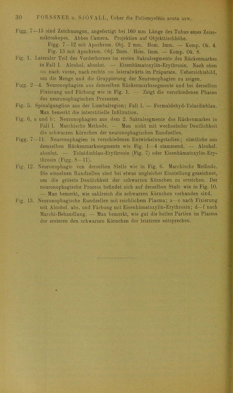 Figg. 7—13 sind Zeichnungen, angefertigt bei 160 mm Länge des Tubus eines Zeiss- mikroskopes. Abbes Camera. Projektion auf Objekttischhöhe. Figg. 7—12 mit Apochrom. Obj. 2 mm. Horn. Imm. — Komp. Ok. 4. Pig. 13 mit Apochrom. Obj. 2mm. Horn. 1mm. — Komp. Ok. 8. Fig. 1. Lateraler Teil des Vorderhornes im ersten Sakralsegmente des Rückenmarkes in Fall I. Alcohol. absolut. — Eisenhämatoxylin-Erythrosin. Nach oben = nach vorne, nach rechts = lateralwärts im Präparate. Uebersichtsbild, um die Menge und die Gruppierung der Neuronopbagien zu zeigen. Figg. 2—4. Neuronopbagien aus demselben Rückenmarkssegmente und bei derselben Fixierung und Färbung wie in Pig. 1. — Zeigt die verschiedenen Phasen des neuronophagischen Prozesses. Fig. 5. Spinalganglion aus der Lumbalregion; Fall I. — Formaldehyd-Toluidinblau. Man bemerkt die interstitielle Infiltration. Fig. 6, a und b: Neuronopbagien aus dem 2. Sakralsegmente des Rückenmarkes in Fall I. Marchische Methode. — Man sieht mit wechselnder Deutlichkeit die schwarzen Körnchen der neuronophagischen Rundzellen. Figg. 7—11. Neuronopbagien in verschiedenen Entwickelungstadien; sämtliche aus demselben Rückenmarkssegmente wie Fig. 1—4 stammend. — Alcohol. absolut. — Toluidinblau-Erythrosin (Fig. 7) oder Eisenhämatoxylin-Ery- throsin (Figg. 8—11). Fig. 12. Neuronophagie von derselben Stelle wie in Fig. 6. Marchische Methode. Die einzelnen Rundzellen sind bei etwas ungleicher Einstellung gezeichnet, um die grösste Deutlichkeit der schwarzen Körnchen zu erreichen. Der neuronophagische Prozess befindet sich auf derselben Stufe wie in Fig. 10. —• Man bemerkt, wie zahlreich die schwarzen Körnchen vorhanden sind. Fig. 13. Neuronophagische Rundzellen mit reichlichem Plasma; a—c nach Fixierung mit Alcohol. abs. und Färbung mit Eisenhämatoxylin-Erythrosin; d—f nach Marchi-Behandlung. — Man bemerkt, wie gut die hellen Partien im Plasma der ersteren den schwarzen Körnchen der letzteren entsprechen.