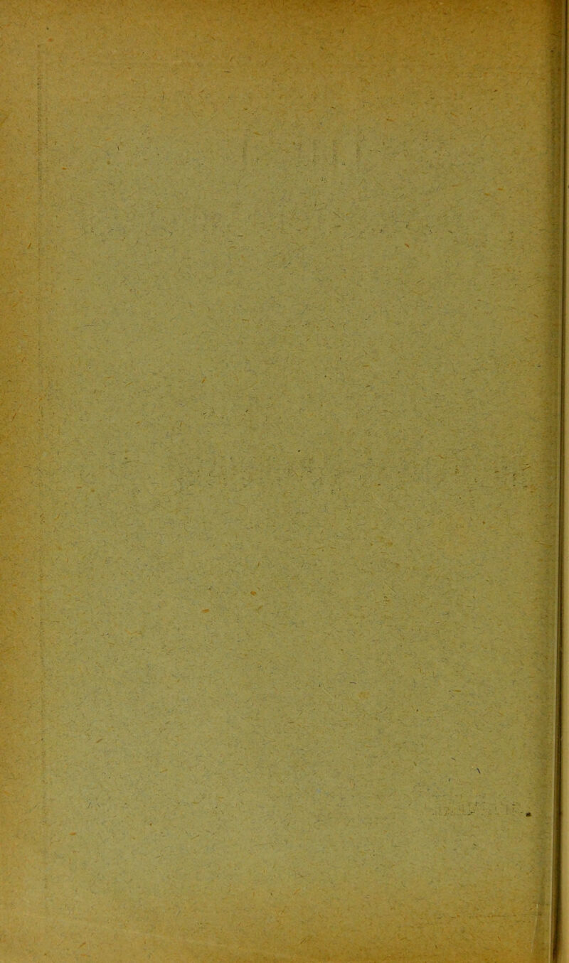 / / ; ■?.'/ /.:* • . -, • \