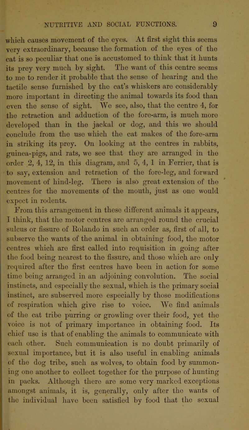 which, causes movement of the eyes. At first sight this seems very extraordinary, because the formation of the eyes of the cat is so peculiar that one is accustomed to think that it hunts its prey very much by sight. The want of this centre seems to me to render it probable that the sense of hearing and the tiictile sense furnished by the cat’s whiskers are considerably more important in directing the animal towards its food than even the sense of sight. We see, also, that the centre 4, for the retraetion and adduction of the fore-arm, is much more developed than in the jackal or dog, and this we should conclude from the use which the eat makes of the fore-arm in striking its prey. On looking at the centres in rabbits, guinea-pigs, and rats, we see that they are arranged in the order 2, 4, 12, in this diagram, and 5, 4, 1 in Ferrier, that is to say, extension and retraction of the fore-leg, and forward movement of hind-leg. There is also great extension of the centres for the movements of the mouth, just as one would expect in rodents. From this arrangement in these different animals it appears, I think, that the motor centres are arranged round the crucial : sulcus or fissure of Rolando in such an order as, first of all, to I subserve the wants of the animal in obtaining food, the motor centres which are first called into requisition in going after the food being nearest to the fissure, and those which are only required after the first centres have been in action for some time being arranged in an adjoining convolution. The social instincts, and especially the sexual, which, is the primary social instinct, are subserved more especially by those modifications of respiration which give rise to voice. We find animals of the cat tribe purring or growling over their food,, yet the voice is not of primary importance in obtaining food. Its chief use is that of enabling the animals to communicate with each other. Sucli communication is no doubt primarily of sexual importance, but it is also useful in enabling animals of the dog tribe, such as wolves, to obtain food by summon- ing one another to colleet together for the purpose of hunting in packs. Although there are some very marked exceptions amongst animals, it is, generally, only after the wants of the individual liavo been satisfied by food that the sexual