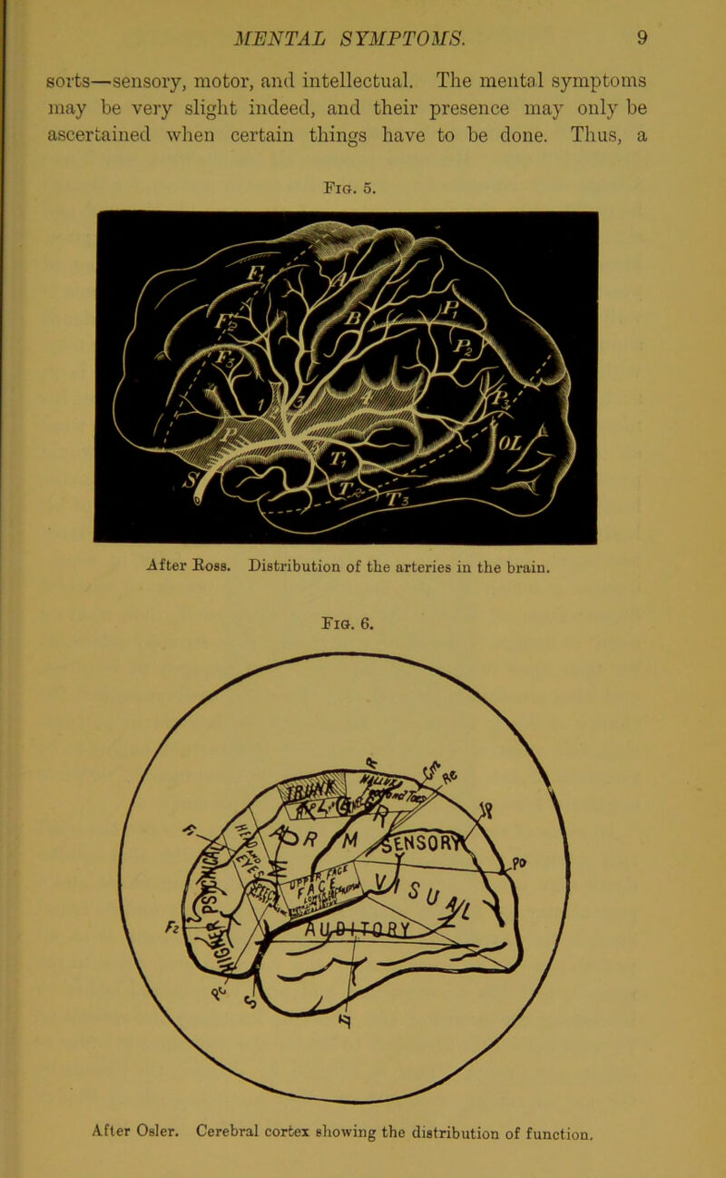 sorts—sensory, motor, and intellectual. The mental symptoms may he very slight indeed, and their presence may only he ascertained when certain things have to be done. Thus, a Fig. 5. After Ross. Distribution of the arteries in the brain. Fig. 6. After Osier. Cerebral cortex showing the distribution of function.