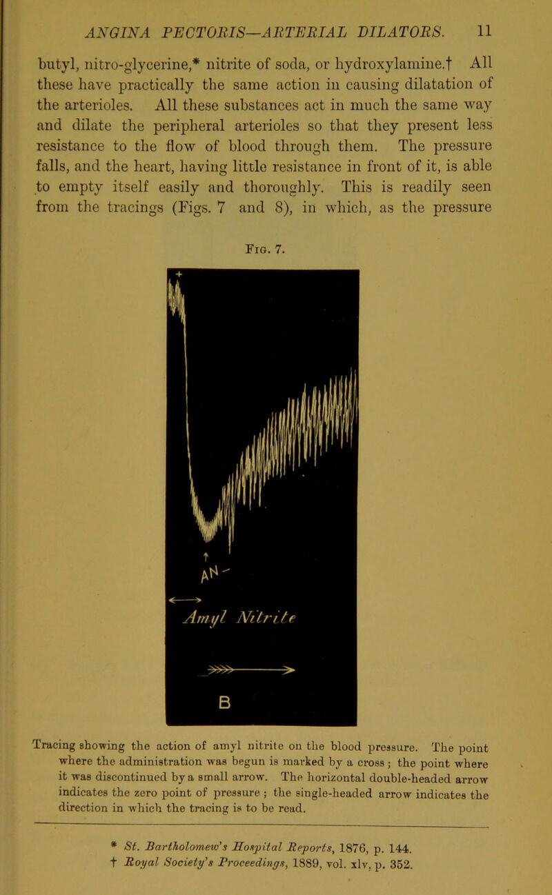 butyl, nitroglycerine,* nitrite of soda, or hydroxylamine.f All these have practically the same action in causing dilatation of the arterioles. All these substances act in much the same way and dilate the peripheral arterioles so that they present less resistance to the flow of blood through them. The pressure falls, and the heart, having little resistance in front of it, is able to empty itself easily and thoroughly. This is readily seen from the tracings (Figs. 7 and 8), in which, as the pressure Fig. 7. Tracing showing the action of amyl nitrite on the blood pressure. The point where the administration was begun is marked by a cross ; the point where it was discontinued by a small arrow. The horizontal double-headed arrow indicates the zero point of pressure ; the single-headed arrow indicates the direction in which the tracing is to be read. * St. Bartholomew’s Hospital Reports, 1876, p. 144. t Royal Society's Proceedings, 1889, vol. slv, p. 352.