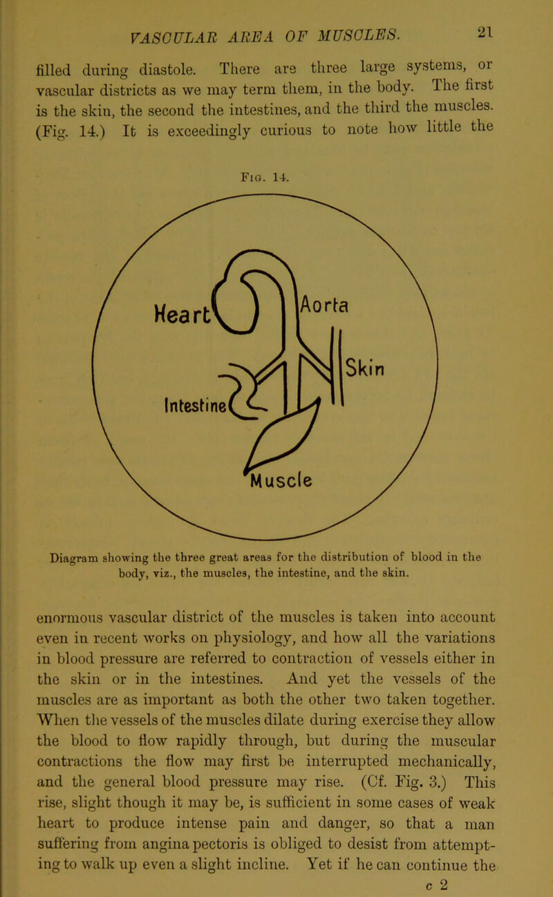 VASCULAR AREA OF MUSCLES. filled during diastole. There are three large systems, or vascular districts as we may term them, in the body. The first is the skin, the second the intestines, and the third the muscles. (Fig. 14.) It is exceedingly curious to note how little the Fig. 14. Diagram showing the three great areas for the distribution of blood in the body, viz., the muscles, the intestine, and the skin. enormous vascular district of the muscles is taken into account even in recent works on physiology, and how all the variations in blood pressure are referred to contraction of vessels either in the skin or in the intestines. And yet the vessels of the muscles are as important as both the other two taken together. When the vessels of the muscles dilate during exercise they allow the blood to flow rapidly through, but during the muscular contractions the flow may first be interrupted mechanically, and the general blood pressure may rise. (Cf. Fig. 3.) This rise, slight though it may be, is sufficient in some cases of weak heart to produce intense pain and danger, so that a man suffering from angina pectoris is obliged to desist from attempt- ing to walk up even a slight incline. Yet if he can continue the c 2