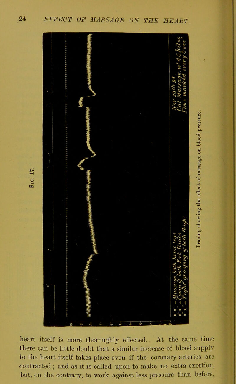 heart itself is more thoroughly effected. At the same time there can he little doubt that a similar increase of blood supply to the heart itself takes place even if the coronary arteries are contracted ; and as it is called upon to make no extra exertion, but, on the contrary, to work against less pressure than before,