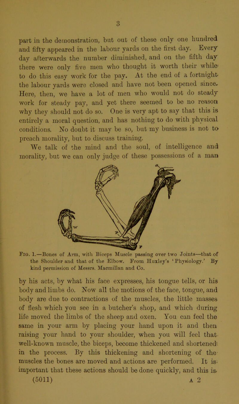 part in the demonstration, but out of these only one hundred and fifty appeared in the labour yards on the first day. Every day afterwards the number diminished, and on the fifth day there were only five men who thought it worth their while- to do this easy work for the pay. At the end of a fortnight- the labour yards were closed and have not been opened since.- Here, then, we have a lot of men who would not do steady work for steady pay, and yet there seemed to be no reason why they should not do so. One is very apt to say that this is entirely a moral question, and has nothing to do with physical conditions. No doubt it may be so, but my business is not to- preach morality, but to discuss training. We talk of the mind and the soul, of intelligence and morality, but we can only judge of these possessions of a man Fig. 1.—Bones of Arm, with Biceps Muscle passing over two Joints—that of the Shoulder and that of the Elbow. From Huxley’s ‘ Physiology.’ By kind permission of Messrs. Macmillan and Co. by his acts, by what his face expresses, his tongue tells, or his body and limbs do. Now all tbe motions of the face, tongue, and body are due to contractions of the muscles, the little masses of flesh which you see in a butcher’s shop, and which during life moved the limbs of the sheep and oxen. You can feel the same in your arm by placing your hand upon it and then raising your hand to your shoulder, when you will feel that well-known muscle, the biceps, become thickened and shortened', in the process. By this thickening and shortening of the- muscles the bones are moved and actions are performed. It is- important that these actions should be done quickly, and this i&
