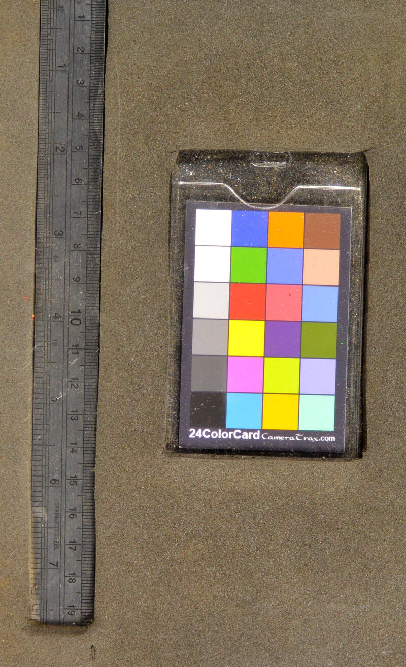 24ColorCard t-ax.COfn