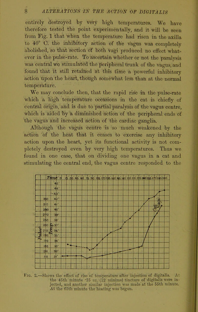 entirely destroyed by very high temperatures. We have therefore tested the point experimentally, and it will be seen from Fig. 1 that when the temperature had risen in the axilla to 40° 0. the inhibitory action of the vagus was completely abolished, so that section of both vagi produced no effect what- ever in the pulse-rate. To ascertain whether or not the paralysis was central we stimulated the peripheral trunk of the vagus, and found that it still retained at this time a powerful inhibitory action upon the heart, though somewhat less than at the normal temperature. We may conclude then, that the rapid rise in the pulse-rate which a high temperature occasions in the cat is chiefly of central origin, and is due to partial paralysis of the vagus centre, which is aided by a diminished action of the peripheral ends of the vagus and increased action of the cardiac ganglia. Although the vagus centre is so much weakened by the action of the heat that it ceases to exercise any inhibitory action upon the heart, yet its functional activity is not com- pletely destroyed even by very high temperatures. Thus we found in one case, that on dividing one vagus in a cat and stimulating the central end, the vagus centre responded to the Fig. 2.—Shows the effect of rise of temperature after injection of digitalis. At the 45th minute '75 cc. (12 minims) tincture of digitalis were in- jected, and another similar injection was made at the 55th minute. At the 65th minute the heating was begun. 'A