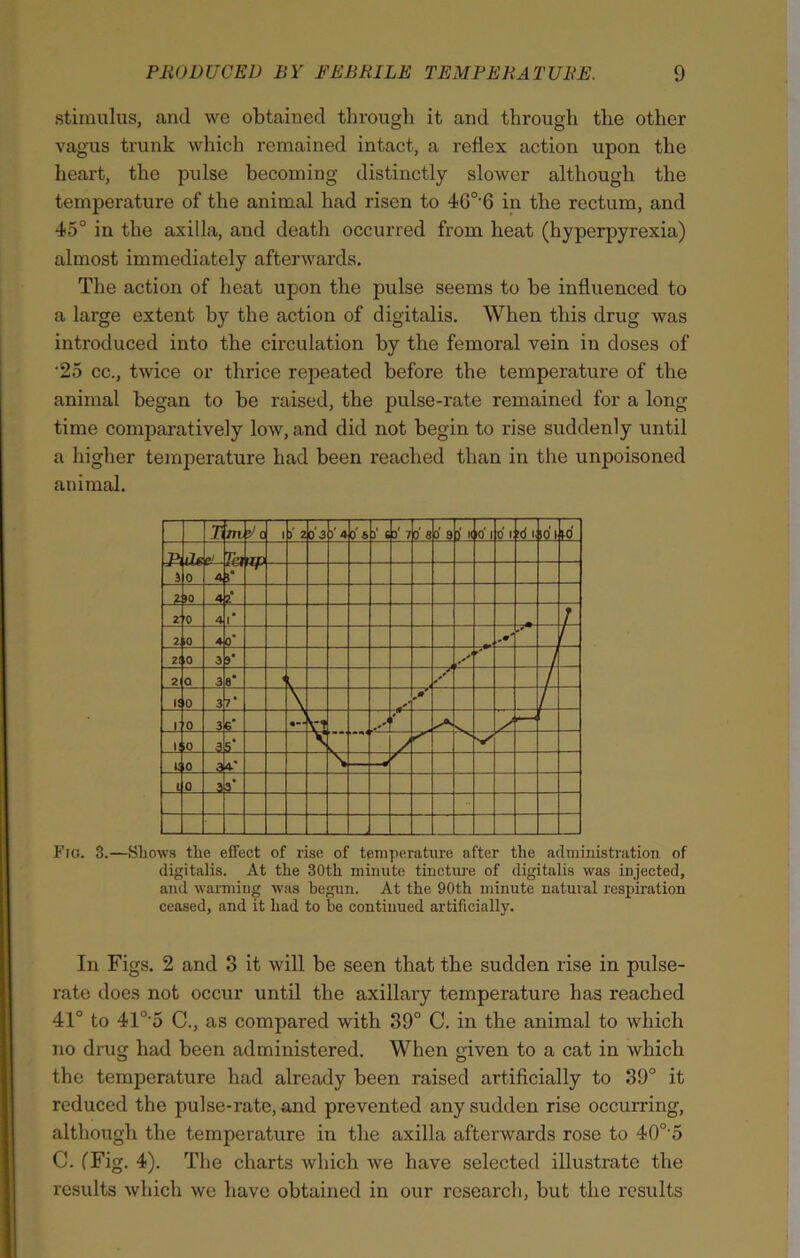 stimulus, and we obtained through it and through the other vagus trunk which remained intact, a reflex action upon the heart, the pulse becoming distinctly slower although the temperature of the animal had risen to 4G°-6 in the rectum, and 45° in the axilla, and death occurred from heat (hyperpyrexia) almost immediately afterwards. The action of heat upon the pulse seems to be influenced to a large extent by the action of digitalis. When this drug was introduced into the circulation by the femoral vein in doses of ‘25 cc., twice or thrice repeated before the temperature of the animal began to be raised, the pulse-rate remained for a long time comparatively low, and did not begin to rise suddenly until a higher temperature had been reached than in the unpoisoned animal. Fig. 3.—Shows the effect of rise of temperature after the administration of digitalis. At the 30th minute tincture of digitalis was injected, and warming was begun. At the 90th minute natural respiration ceased, and it had to be continued artificially. In Figs. 2 and 3 it will be seen that the sudden rise in pulse- rate does not occur until the axillary temperature has reached 41° to 41°'5 C., as compared with 39° C. in the animal to which no drug had been administered. When given to a cat in which the temperature had already been raised artificially to 39° it reduced the pulse-rate, and prevented any sudden rise occurring, although the temperature in the axilla afterwards rose to 40o-5 C. (Fig. 4). The charts which we have selected illustrate the results which we have obtained in our research, but the results