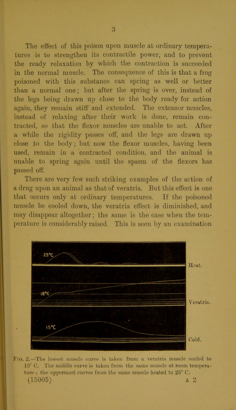 The effect of this poison upon muscle at ordinary tempera- tures is to strengthen its contractile power, and to prevent the ready relaxation by which the contraction is succeeded in the normal muscle. The consequence of this is that a frog poisoned with this substance can spring as well or better than a normal one; but after the spring is over, instead of the legs being drawn up close to the body ready for action again, they remain stiff and extended. The extensor muscles, instead of relaxing after their work is done, remain con- tracted, so that the flexor muscles are unable to act. After a while the rigidity passes off, and the legs are drawn up close .to the body; but now the flexor muscles, having been used, remain in a contracted condition, and the animal is unable to spring again until the spasm of the flexors has passed off. There are very few such striking examples of the action of a drug upon an animal as that of veratria. But this effect is one that occurs only at ordinary temperatures. If the poisoned muscle be cooled down, the veratria effect is diminished, and may disappear altogether; the same is the case when the tem- perature is considerably raised. This is seen by an examination Heat. Veratria. Cold. Fig. 2..—The lowest muscle curve is taken from a veratria muscle cooled to 15' C. The middle curve is tuken from the same muscle at room tempera- ture ; the uppermost curves from the same muscle heated to 25° C. (15005) a 2