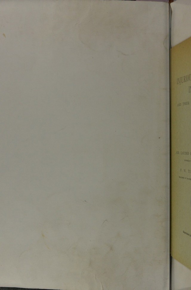 digitised image 2