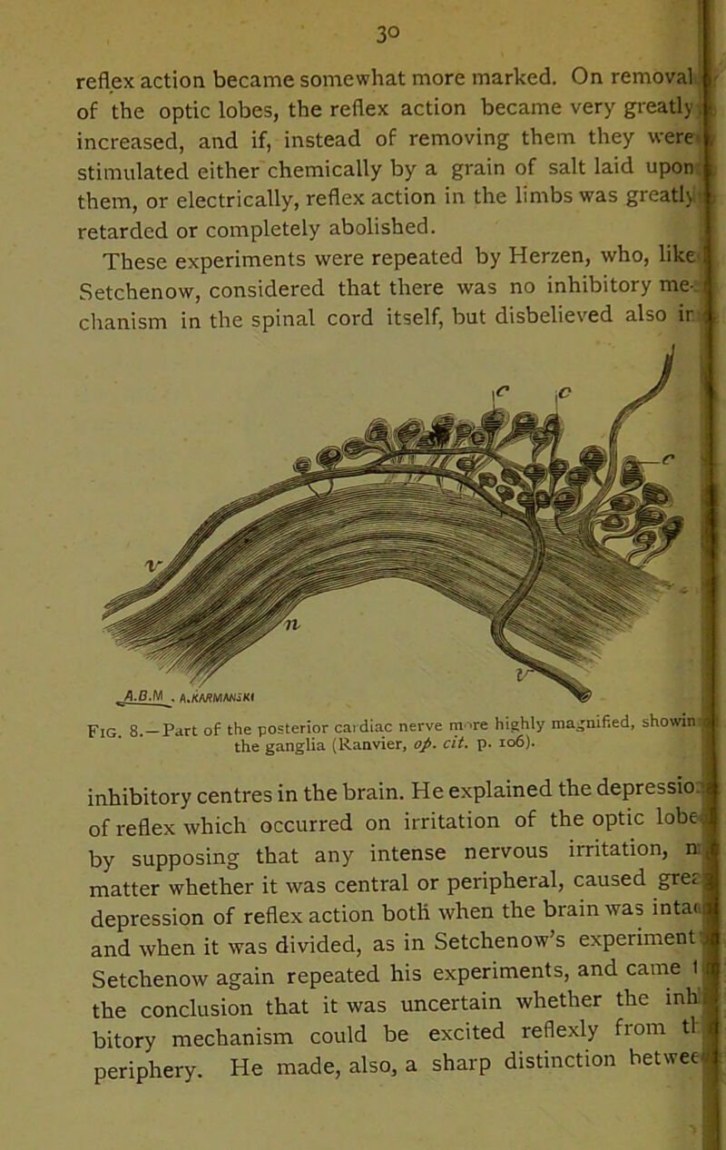 reflex action became somewhat more marked. On removal of the optic lobes, the reflex action became very greatly: increased, and if, instead of removing them they were stimulated either chemically by a grain of salt laid upon them, or electrically, reflex action in the limbs was greatly retarded or completely abolished. These experiments were repeated by Herzen, who, like Setchenow, considered that there was no inhibitory me- chanism in the spinal cord itself, but disbelieved also ir. Fig. 8.—Part of the posterior cardiac nerve more highly magnified, showin the ganglia (Raavier, op. cit. p. 106). inhibitory centres in the brain. He explained the depressio of reflex which occurred on irritation of the optic lobe , by supposing that any intense nervous irritation, n: matter whether it was central or peripheral, caused gret depression of reflex action both when the brain was intac and when it was divided, as in Setchenow’s experiment Setchenow again repeated his experiments, and came t the conclusion that it was uncertain whether the inhl bitory mechanism could be excited reflexly fiom tl periphery. He made, also, a sharp distinction betwee