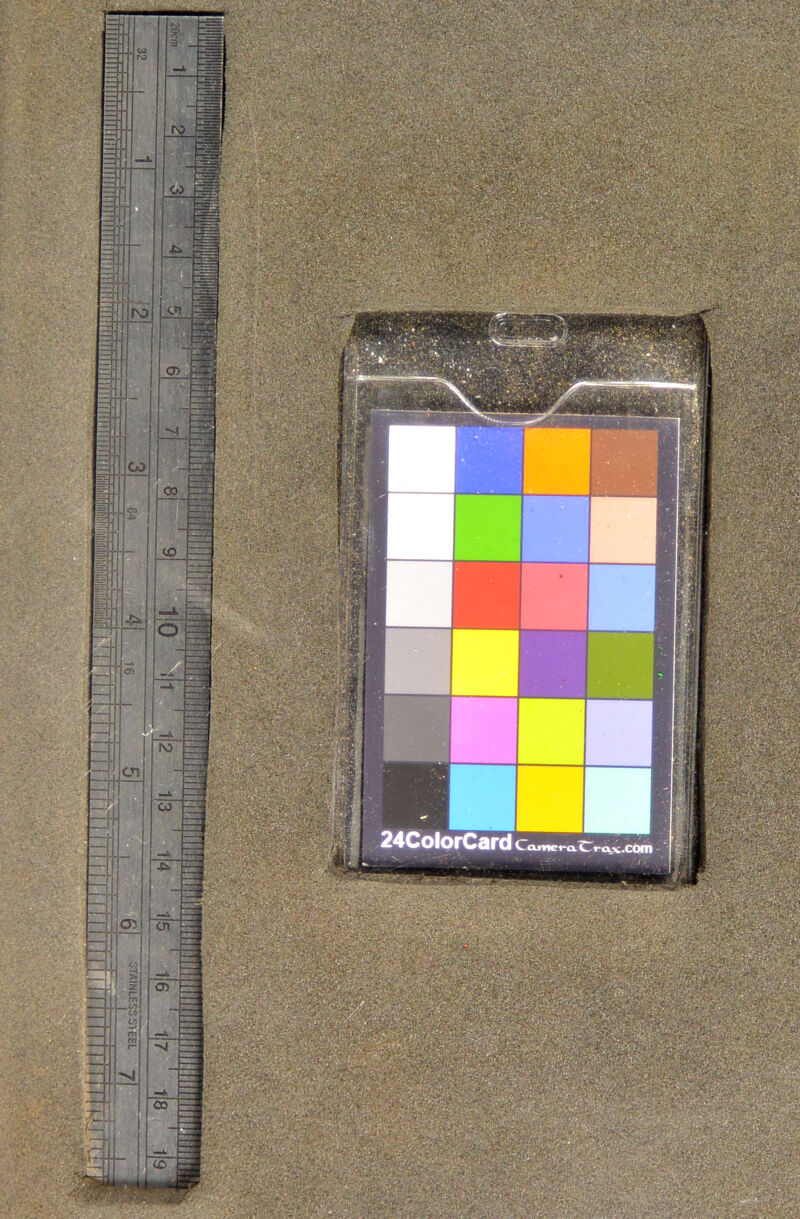 24ColorCard( ~»-o.x.coin