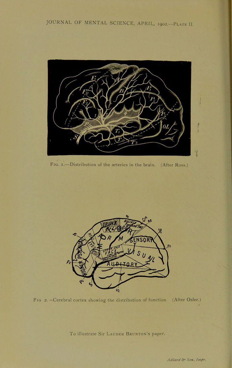 JOURNAL OF MENTAL SCIENCE, APRIL, 1902.—Plate II. To illustrate Sir Lauder Brunton’s paper. Adlard Son, Impr.