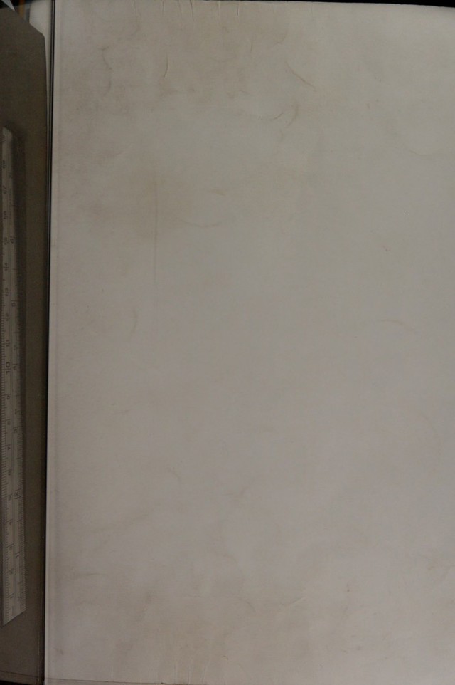 digitised image 1