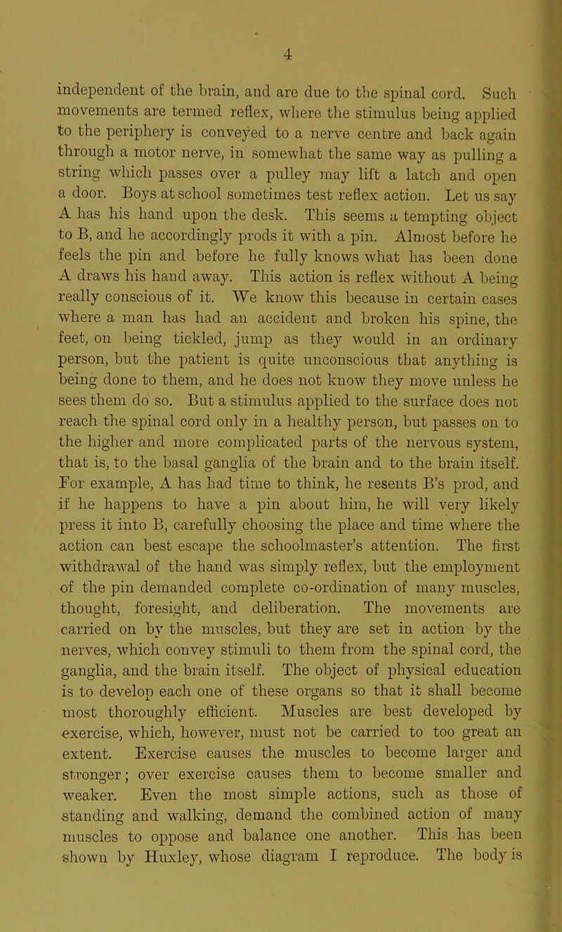 independent of the brain, and are due to the spinal cord. Such .movements are termed reflex, where the stimulus being applied to the periphery is conveyed to a nerve centre and back again through a motor nerve, in somewhat tire same way as pulling a string which passes over a pulley may lift a latch and open a door. Boys at school sometimes test reflex action. Let us say A has his hand upon the desk. This seems a tempting object to B, and he accordingly prods it with a pin. Almost before he feels the pin and before he fully knows what has been done A draws his haud away. This action is reflex without A being really conscious of it. We know this because in certain cases where a man has had an accident and broken his spine, the feet, on being tickled, jump as they would in an ordinary person, but the patient is quite unconscious that anything is being done to them, and he does not know they move unless he sees them do so. But a stimulus applied to the surface does not reach the spinal cord only in a healthy person, but passes on to the higher and more complicated parts of the nervous system, that is, to the basal ganglia of the brain and to the brain itself. Bor example, A has had time to think, he resents B’s prod, and if he happens to have a pin about him, he will very likely press it into B, carefully choosing the place and time where the action can best escape the schoolmaster’s attention. The first withdrawal of the hand was simply reflex, but the employment of the pin demanded complete co-ordination of many muscles, thought, foresight, and deliberation. The movements are carried on by the muscles, but they are set in action by the nerves, which convey stimuli to them from the spinal cord, the ganglia, and the brain itself. The object of physical education is to develop each one of these organs so that it shall become most thoroughly efficient. Muscles are best developed by exercise, which, however, must not be carried to too great an extent. Exercise causes the muscles to become larger and stronger; over exercise causes them to become smaller and weaker. Even the most simple actions, such as those of standing and walking, demand the combined action of many muscles to oppose and balance one another. This has been shown by Huxley, whose diagram I reproduce. The body is