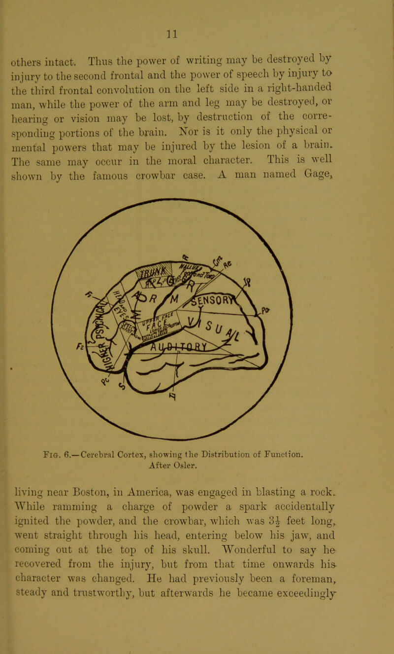 others intact. Thus the power of writing may be destroyed by injury to the second frontal and the power of speech by injury to the third frontal convolution on the left side in a right-handed man, while the power of the arm and leg may be destroyed, or hearing or vision may be lost, by destruction of the corre- sponding portions of the brain. Nor is it only the physical or mental powers that may be injured by the lesion of a brain* The same may occur in the moral character. This is well shown by the famous crowbar case. A man named Gage, Fig. 6.—Cerebral Cortex, showing the Distribution of Function. After Osier. living near Boston, in America, was engaged in blasting a rock. While ramming a charge of powder a spark accidentally ignited the powder, and the crowbar, which was feet long, went straight through his head, entering below his jaw, and coming out at the top of his skull. Wonderful to say he recovered from the injury, but from that time onwards his- character was changed. He had previously been a foreman, steady and trustworthy, but afterwards he became exceedingly