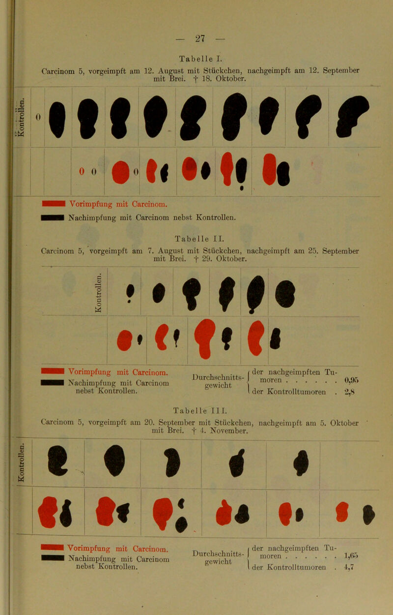 Tabelle I. Carcinon t a 5, vorg< t ümpft am 12. n H August mit Stückch ait Brei, f 18. Okto < 3n, nachgeimpft am 12. Sc ber. rr f jptember t 0 0 ^orimpfui • • ig mit Carcinc * •*! >m. Mi Nachimpfung mit Carcinom nebst Kontrollen. Tabelle II. Carcinom 5, vorgeimpft am 7. August mit Stückchen, nachgeimpft am 25. September mit Brei, f 29. Oktober. r ( Kontrollen. Mt Vorimnfnn Kf tr mit. Cnreinnm i der naeho'eimnften Tn- Nachimpfung mit Carcinom Ourchsctmitts moren 0,95 nebst Kontrollen. ~ ' der Kontrolltumoren . 2,8 Tabelle UL Carcinom 5, vorgeimpft am 20. September mit Stückchen, nachgeimpft am 5. Oktober mit Brei. T 4. November. f 1 1 i t< < «’ • » Vorimpfung mit Carcinom. Nachimpfung mit Carcinom nebst Kontrollen. Durchschnitts- gewicht I der nachgeimpften Tu- ) moren I der Kontrolltumoren . l,(v»