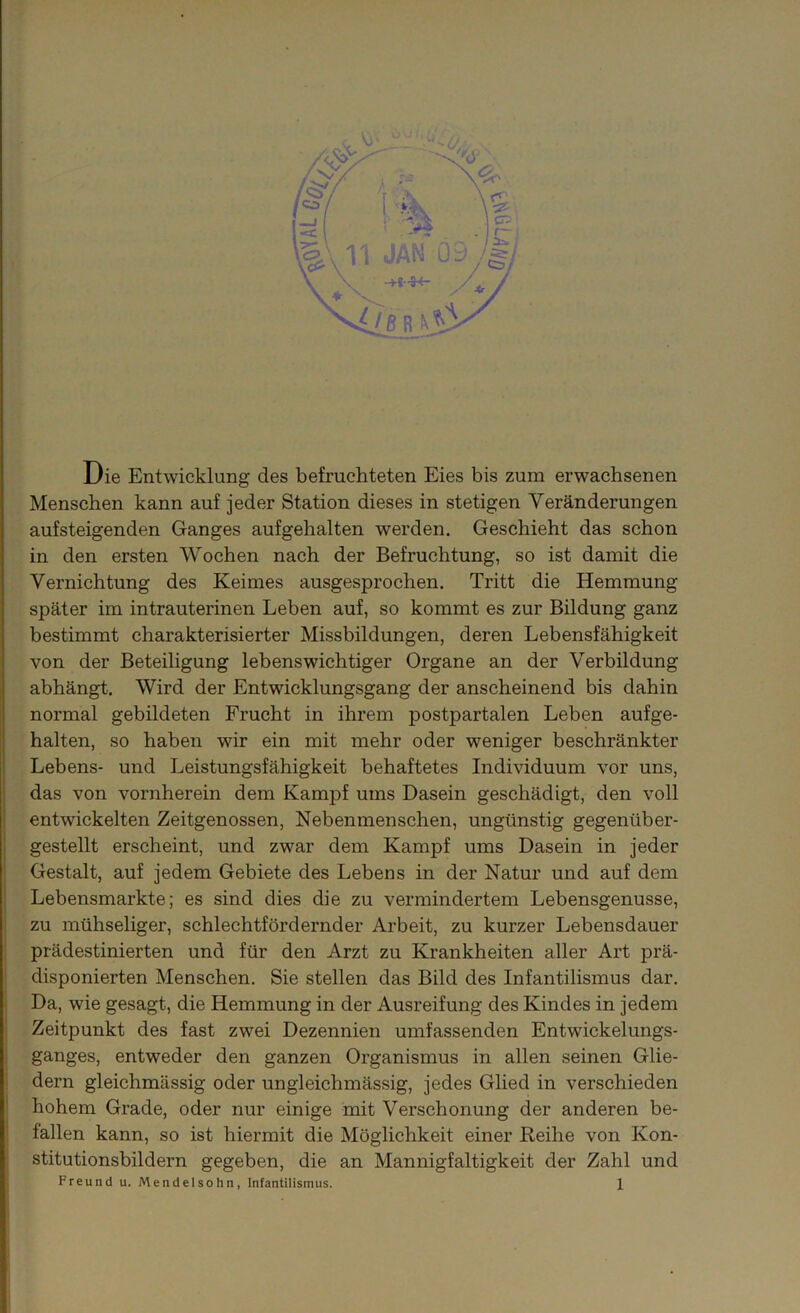 Die Entwicklung des befruchteten Eies bis zum erwachsenen Menschen kann auf jeder Station dieses in stetigen Veränderungen aufsteigenden Ganges aufgehalten werden. Geschieht das schon in den ersten Wochen nach der Befruchtung, so ist damit die Vernichtung des Keimes ausgesprochen. Tritt die Hemmung später im intrauterinen Leben auf, so kommt es zur Bildung ganz bestimmt charakterisierter Missbildungen, deren Lebensfähigkeit von der Beteiligung lebenswichtiger Organe an der Verbildung abhängt. Wird der Entwicklungsgang der anscheinend bis dahin normal gebildeten Frucht in ihrem postpartalen Leben aufge- halten, so haben wir ein mit mehr oder weniger beschränkter Lebens- und Leistungsfähigkeit behaftetes Individuum vor uns, das von vornherein dem Kampf ums Dasein geschädigt, den voll entwickelten Zeitgenossen, Nebenmenschen, ungünstig gegenüber- gestellt erscheint, und zwar dem Kampf ums Dasein in jeder Gestalt, auf jedem Gebiete des Lebens in der Natur und auf dem Lebensmarkte; es sind dies die zu vermindertem Lebensgenüsse, zu mühseliger, schlechtfördernder Arbeit, zu kurzer Lebensdauer prädestinierten und für den Arzt zu Krankheiten aller Art prä- disponierten Menschen. Sie stellen das Bild des Infantilismus dar. Da, wie gesagt, die Hemmung in der Ausreifung des Kindes in jedem Zeitpunkt des fast zwei Dezennien umfassenden Entwickelungs- ganges, entweder den ganzen Organismus in allen seinen Glie- dern gleichmässig oder ungleichmässig, jedes Glied in verschieden hohem Grade, oder nur einige mit Verschonung der anderen be- fallen kann, so ist hiermit die Möglichkeit einer Reihe von Kon- stitutionsbildern gegeben, die an Mannigfaltigkeit der Zahl und