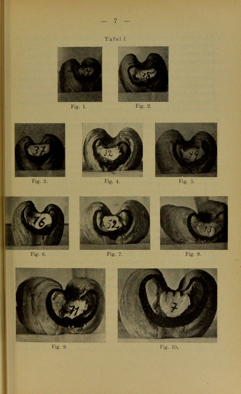 Tafel I. Fig. 1. Fig. 2. Fig. 3. Fig. 4. Fig. 5. Fig. 7. Fig. 8.