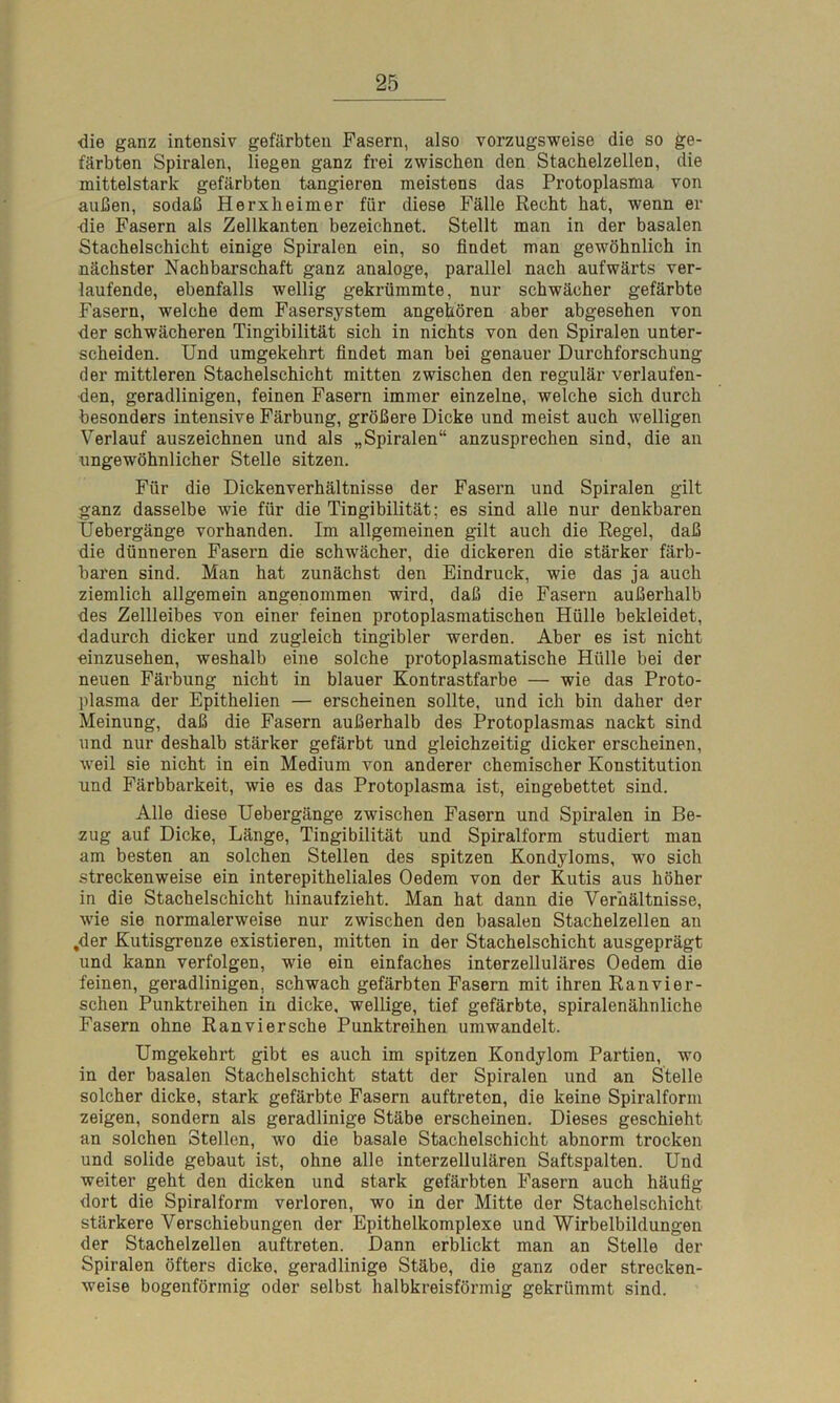 ■die ganz intensiv gefärbten Fasern, also vorzugsweise die so ge- färbten Spiralen, liegen ganz frei zwischen den Stachelzellen, die mittelstark gefärbten tangieren meistens das Protoplasma von außen, sodaß Herxheimer für diese Fälle Recht hat, wenn er die Fasern als Zellkanten bezeichnet. Stellt man in der basalen Stachelschicht einige Spiralen ein, so findet man gewöhnlich in nächster Nachbarschaft ganz analoge, parallel nach aufwärts ver- laufende, ebenfalls wellig gekrümmte, nur schwächer gefärbte Fasern, welche dem Fasersystem angehören aber abgesehen von der schwächeren Tingibilität sich in nichts von den Spiralen unter- scheiden. Und umgekehrt findet man bei genauer Durchforschung der mittleren Stachelschicht mitten zwischen den regulär verlaufen- den, geradlinigen, feinen Fasern immer einzelne, welche sich durch besonders intensive Färbung, größere Dicke und meist auch welligen Verlauf auszeichnen und als „Spiralen“ anzusprechen sind, die an ungewöhnlicher Stelle sitzen. Für die Dickenverhältnisse der Fasern und Spiralen gilt ganz dasselbe wrie für die Tingibilität; es sind alle nur denkbaren Uebergänge vorhanden. Im allgemeinen gilt auch die Regel, daß die dünneren Fasern die schwächer, die dickeren die stärker färb- baren sind. Man hat zunächst den Eindruck, wie das ja auch ziemlich allgemein angenommen wird, daß die Fasern außerhalb des Zellleibes von einer feinen protoplasmatischen Hülle bekleidet, dadurch dicker und zugleich tingibler werden. Aber es ist nicht einzusehen, weshalb eine solche protoplasmatische Hülle bei der neuen Färbung nicht in blauer Kontrastfarbe — wie das Proto- plasma der Epithelien — erscheinen sollte, und ich bin daher der Meinung, daß die Fasern außerhalb des Protoplasmas nackt sind und nur deshalb stärker gefärbt und gleichzeitig dicker erscheinen, wreil sie nicht in ein Medium von anderer chemischer Konstitution und Färbbarkeit, wie es das Protoplasma ist, eingebettet sind. Alle diese Uebergänge zwischen Fasern und Spiralen in Be- zug auf Dicke, Länge, Tingibilität und Spiralform studiert man am besten an solchen Stellen des spitzen Kondyloms, wo sich streckenweise ein interepitheliales Oedem von der Kutis aus höher in die Stachelschicht hinaufzieht. Man hat dann die Verhältnisse, wie sie normalerweise nur zwischen den basalen Stachelzellen an ,der Kutisgrenze existieren, mitten in der Stachelschicht ausgeprägt und kann verfolgen, wie ein einfaches interzelluläres Oedem die feinen, geradlinigen, schwach gefärbten Fasern mit ihren Ranvier- schen Punktreihen in dicke, wellige, tief gefärbte, spiralenähnliche Fasern ohne Ranviersche Punktreihen umwandelt. Umgekehrt gibt es auch im spitzen Kondylom Partien, wo in der basalen Stachelschicht statt der Spiralen und an Stelle solcher dicke, stark gefärbte Fasern auftreten, die keine Spiralform zeigen, sondern als geradlinige Stäbe erscheinen. Dieses geschieht an solchen Stellen, wo die basale Stachelschicht abnorm trocken und solide gebaut ist, ohne alle interzellulären Saftspalten. Und weiter geht den dicken und stark gefärbten Fasern auch häufig dort die Spiralform verloren, wo in der Mitte der Stachelschicht stärkere Verschiebungen der Epithelkomplexe und Wirbelbildungen der Stachelzellen auftreten. Dann erblickt man an Stelle der Spiralen öfters dicke, geradlinige Stäbe, die ganz oder strecken- weise bogenförmig oder selbst halbkreisförmig gekrümmt sind.