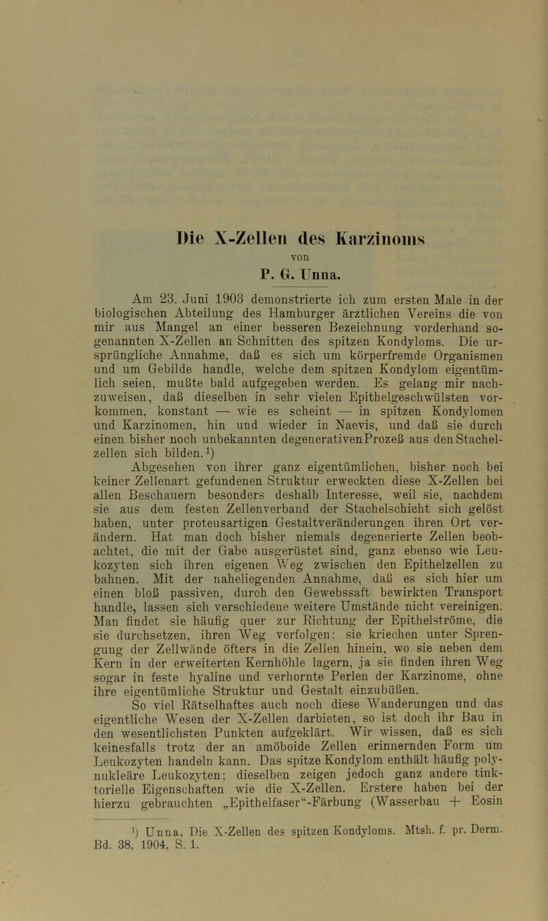 Die \-Zellen cles Karzinoms von P. 0. Unna. Am 23. Juni 1903 demonstrierte ich zum ersten Male in der biologischen Abteilung des Hamburger ärztlichen Vereins die von mir aus Mangel an einer besseren Bezeichnung vorderhand so- genannten X-Zellen an Schnitten des spitzen Kondyloms. Die ur- sprüngliche Annahme, daß es sich um körperfremde Organismen und um Gebilde handle, welche dem spitzen Kondylom eigentüm- lich seien, mußte bald aufgegeben werden. Es gelang mir nach- zuweisen, daß dieselben in sehr vielen Epithelgeschwülsten Vor- kommen, konstant — wie es scheint — in spitzen Kondylomen und Karzinomen, hin und wieder in Naevis, und daß sie durch einen bisher noch unbekannten degenerativen Prozeß aus den Stachel- zellen sich bilden.1) Abgesehen von ihrer ganz eigentümlichen, bisher noch bei keiner Zellenart gefundenen Struktur erweckten diese X-Zellen bei allen Beschauern besonders deshalb Interesse, weil sie, nachdem sie aus dem festen Zellenverband der Stachelschicht sich gelöst haben, unter proteusartigen Gestaltveränderungen ihren Ort ver- ändern. Hat man doch bisher niemals degenerierte Zellen beob- achtet, die mit der Gabe ausgerüstet sind, ganz ebenso wie Leu- kozyten sich ihren eigenen Weg zwischen den Epithelzellen zu bahnen. Mit der naheliegenden Annahme, daß es sich hier um einen bloß passiven, durch den Gewebssaft bewirkten Transport handle, lassen sich verschiedene weitere Umstände nicht vereinigen. Man findet sie häufig quer zur Richtung der Epithelströme, die sie durchsetzen, ihren Weg verfolgen; sie kriechen unter Spren- gung der Zellwände öfters in die Zellen hinein, wo sie neben dem Kern in der erweiterten Kernhöhle lagern, ja sie finden ihren Weg sogar in feste hyaline und verhornte Perlen der Karzinome, ohne ihre eigentümliche Struktur und Gestalt einzubüßen. So viel Rätselhaftes auch noch diese Wanderungen und das eigentliche Wesen der X-Zellen darbieten, so ist doch ihr Bau in den wesentlichsten Punkten aufgeklärt. Wir wissen, daß es sich keinesfalls trotz der an amöboide Zellen erinnernden Form um Leukozyten handeln kann. Das spitze Kondylom enthält häufig poly- nukleäre Leukozyten; dieselben zeigen jedoch ganz andere tink- torielle Eigenschaften wie die X-Zellen. Erstere haben bei der hierzu gebrauchten „Epithelfaser“-Färbung (Wasserbau + Eosin >) Unna. Die X-Zellen des spitzen Kondyloms. Mtsh. f. pr. Dorm. Bd. 38. 1904, S. 1.