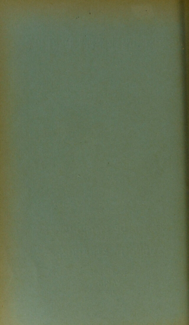 digitised image 2