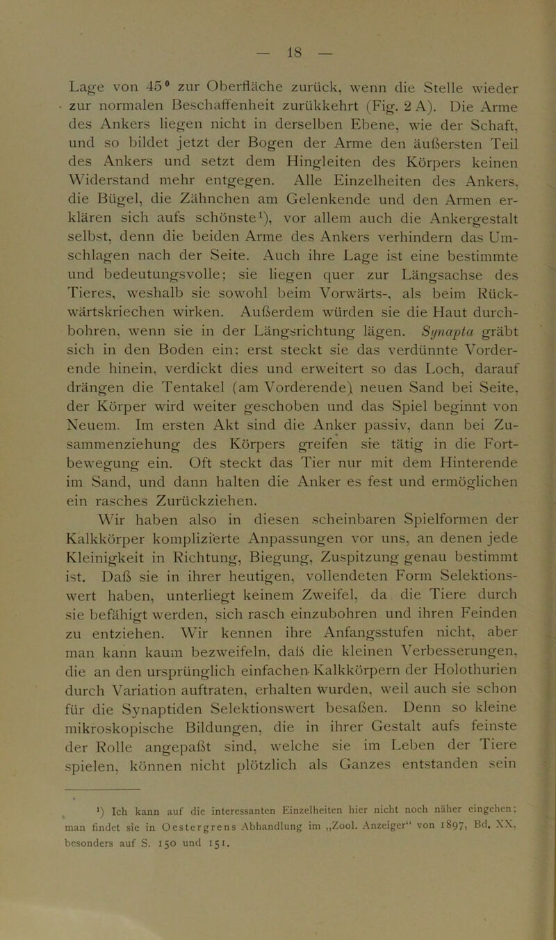 Lage von 45° zur Oberfläche zurück, wenn die Stelle wieder zur normalen Beschaffenheit zurükkehrt (Fig. 2 A). Die Arme des Ankers liegen nicht in derselben Ebene, wie der Schaft, und so bildet jetzt der Bogen der Arme den äußersten Teil des Ankers und setzt dem Hingleiten des Körpers keinen Widerstand mehr entgegen. Alle Einzelheiten des Ankers, die Bügel, die Zähnchen am Gelenkende und den Armen er- klären sich aufs schönste1), vor allem auch die Ankergestalt selbst, denn die beiden Arme des Ankers verhindern das Um- schlagen nach der Seite. Auch ihre Lage ist eine bestimmte und bedeutungsvolle; sie liegen quer zur Längsachse des Tieres, weshalb sie sowohl beim Vorwärts-, als beim Rück- wärtskriechen wirken. Außerdem würden sie die Haut durch- bohren, wenn sie in der Längsrichtung lägen. Synapta gräbt sich in den Boden ein; erst steckt sie das verdünnte Vorder- ende hinein, verdickt dies und erweitert so das Loch, darauf drängen die Tentakel (am Vorderende) neuen Sand bei Seite, der Körper wird weiter geschoben und das Spiel beginnt von Neuem. Im ersten Akt sind die Anker passiv, dann bei Zu- sammenziehung des Körpers greifen sie tätig in die Fort- bewegung ein. Oft steckt das Tier nur mit dem Hinterende im Sand, und dann halten die Anker es fest und ermöglichen ein rasches Zurückziehen. Wir haben also in diesen scheinbaren Spielformen der Kalkkörper komplizierte Anpassungen vor uns, an denen jede Kleinigkeit in Richtung, Biegung, Zuspitzung genau bestimmt ist. Daß sie in ihrer heutigen, vollendeten Form Selektions- wert haben, unterliegt keinem Zweifel, da die Tiere durch sie befähigt werden, sich rasch einzubohren und ihren Feinden zu entziehen. Wir kennen ihre Anfangsstufen nicht, aber man kann kaum bezweifeln, daß die kleinen Verbesserungen, die an den ursprünglich einfachen Kalkkörpern der Holothurien durch Variation auftraten, erhalten wurden, weil auch sie schon für die Synaptiden Selektionswert besaßen. Denn so kleine mikroskopische Bildungen, die in ihrer Gestalt aufs feinste der Rolle angepaßt sind, welche sie im Leben der Tiere spielen, können nicht plötzlich als Ganzes entstanden sein *) Ich kann auf die interessanten Einzelheiten hier nicht noch näher eingehcn; man findet sie in Oestergrens Abhandlung im „Zool. Anzeiger“ von iS97> besonders auf S. 150 und 151.