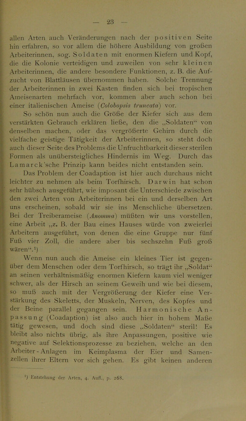allen Arten auch Veränderungen nach der positiven Seite hin erfahren, so vor allem die höhere Ausbildung von großen Arbeiterinnen, sog. Soldaten mit enormen Kiefern und Kopf, die die Kolonie verteidigen und zuweilen von sehr kleinen Arbeiterinnen, die andere besondere Funktionen, z. B. die Auf- zucht von Blattläusen übernommen haben. Solche Trennung der Arbeiterinnen in zwei Kasten finden sich bei tropischen Ameisenarten mehrfach vor. kommen aber auch schon bei einer italienischen Ameise (Colobopsis truncata) vor. So schön nun auch die Größe der Kiefer sich aus dem verstärkten Gebrauch erklären ließe, den die „Soldaten“ von denselben machen, oder das vergrößerte Gehirn durch die vielfache geistige Tätigkeit der Arbeiterinnen, so steht doch auch dieser Seite des Problems die Unfruchtbarkeit dieser sterilen Formen als unübersteigliches Hindernis im Weg. Durch das Lamarck’sche Prinzip kann beides nicht entstanden sein. Das Problem der Coadaption ist hier auch durchaus nicht leichter zu nehmen als beim Torfhirsch. Darwin hat schon sehr hübsch ausgeführt, wie imposant die Unterschiede zwischen den zwei Arten von Arbeiterinnen bei ein und derselben Art uns erscheinen, sobald wir sie ins Menschliche übersetzen. Bei der Treiberameise (Anotnma) müßten wir uns vorstellen, eine Arbeit ,,z. B. der Bau eines Hauses würde von zweierlei Arbeitern ausgeführt, von denen die eine Gruppe nur fünf Fuß vier Zoll, die andere aber bis sechszehn Fuß groß wären’4.1) Wenn nun auch die xAmeise ein kleines Tier ist gegen- über dem Menschen oder dem Torfhirsch, so trägt ihr „Soldat“ an seinen verhältnismäßig enormen Kiefern kaum viel weniger , schwer, als der Hirsch an seinem Geweih und wie bei diesem, [ so muß auch mit der Vergrößerung der Kiefer eine Ver- stärkung des Skeletts, der Muskeln, Nerven, des Kopfes und der Beine parallel gegangen sein. Harmonische An- passung (Coadaption) ist also auch hier in hohem Maße tätig gewesen, und doch sind diese „Soldaten“ steril! Es bleibt also nichts übrig, als ihre Anpassungen, positive wie negative auf Selektionsprozesse zu beziehen, welche an den Arbeiter-Anlagen im Keimplasma der Eier und Samen- zellen ihrer Eltern vor sich gehen. Es gibt keinen anderen ') Entstehung der Arten, 4. Auf!., p. 268.