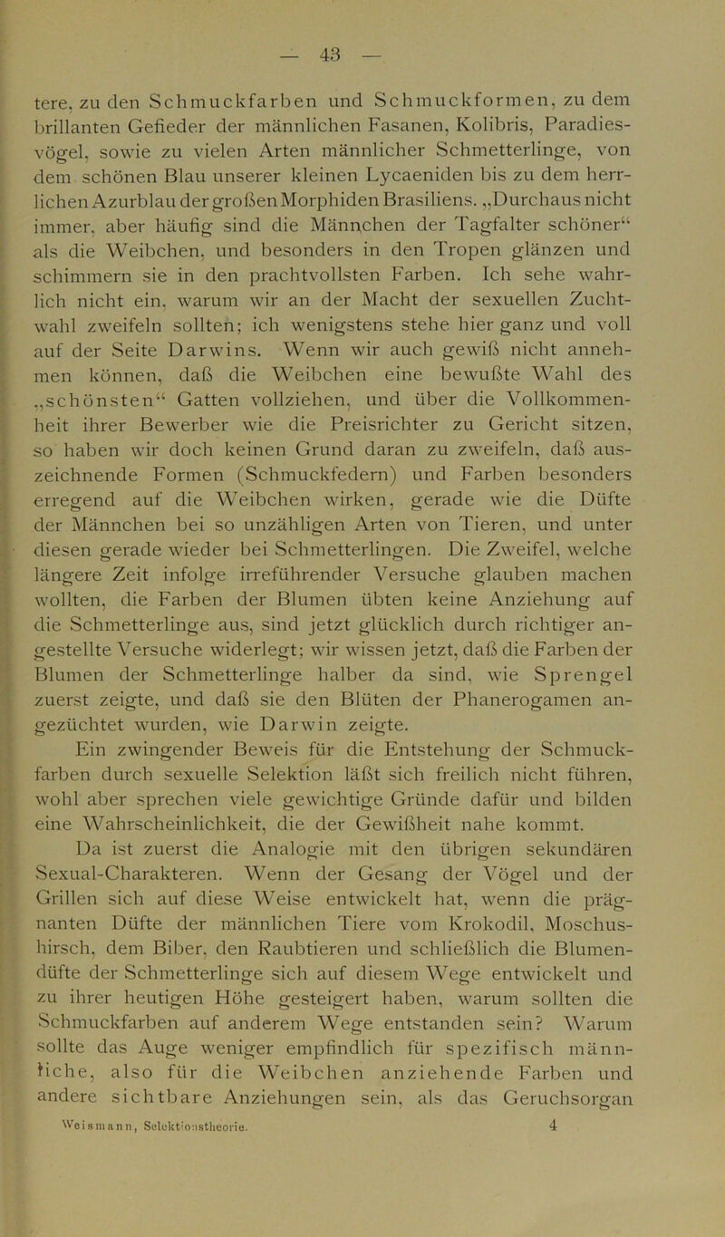 tere, zu den Schmuckfarben und Schmuckformen, zu dem brillanten Gefieder der männlichen Fasanen, Kolibris, Paradies- vögel, sowie zu vielen Arten männlicher Schmetterlinge, von dem schönen Blau unserer kleinen Lycaeniden bis zu dem herr- lichen Azurblau der großen Morphiden Brasiliens. „Durchaus nicht immer, aber häufig sind die Männchen der Tagfalter schöner“ als die Weibchen, und besonders in den Tropen glänzen und schimmern sie in den prachtvollsten Farben. Ich sehe wahr- lich nicht ein. warum wir an der Macht der sexuellen Zucht- wahl zweifeln sollten; ich wenigstens stehe hier ganz und voll auf der Seite Darwins. Wenn wir auch gewiß nicht anneh- men können, daß die Weibchen eine bewußte Wahl des „schönsten“ Gatten vollziehen, und über die Vollkommen- heit ihrer Bewerber wie die Preisrichter zu Gericht sitzen, so haben wir doch keinen Grund daran zu zweifeln, daß aus- zeichnende Formen (Schmuckfedern) und Farben besonders erregend auf die Weibchen wirken, gerade wie die Düfte der Männchen bei so unzähligen Arten von Tieren, und unter diesen gerade wieder bei Schmetterlingen. Die Zweifel, welche längere Zeit infolge irreführender Versuche glauben machen wollten, die Farben der Blumen übten keine Anziehung auf die Schmetterlinge aus, sind jetzt glücklich durch richtiger an- gestellte Versuche widerlegt; wir wissen jetzt, daß die Farben der Blumen der Schmetterlinge halber da sind, wie Sprengel zuerst zeigte, und daß sie den Blüten der Phanerogamen an- gezüchtet wurden, wie Darwin zeigte. Ein zwingender Beweis für die Entstehung der Schmuck- farben durch sexuelle Selektion läßt sich freilich nicht führen, wohl aber sprechen viele gewichtige Gründe dafür und bilden eine Wahrscheinlichkeit, die der Gewißheit nahe kommt. Da ist zuerst die Analogie mit den übrigen sekundären Sexual-Charakteren. Wenn der Gesang der Vögel und der Grillen sich auf diese Weise entwickelt hat, wenn die präg- nanten Düfte der männlichen Tiere vom Krokodil, Moschus- hirsch, dem Biber, den Raubtieren und schließlich die Blumen- düfte der Schmetterlinge sich auf diesem Wege entwickelt und zu ihrer heutigen Flöhe gesteigert haben, warum sollten die Schmuckfarben auf anderem Wege entstanden sein? Warum sollte das Auge weniger empfindlich für spezifisch männ- liche, also für die Weibchen anziehende Farben und andere sichtbare Anziehungen sein, als das Geruchsorgan Weismann, Seluktionstheorie. 4