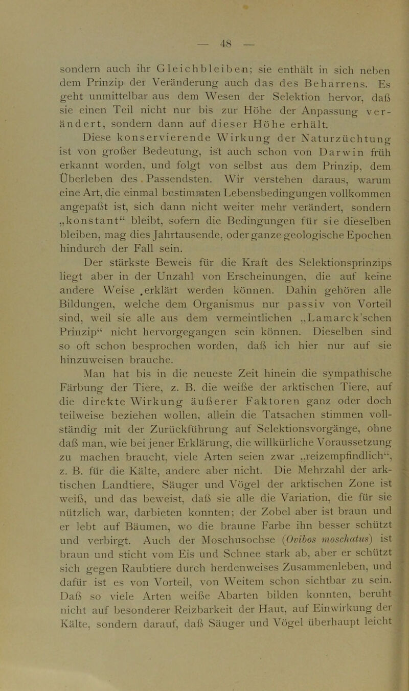 sondern auch ihr Gleichbleiben; sie enthält in sich neben dem Prinzip der Veränderung auch das des Beharrens. Es geht unmittelbar aus dem Wesen der Selektion hervor, daß sie einen Teil nicht nur bis zur Höhe der Anpassung ver- ändert, sondern dann auf dieser Höhe erhält. Diese konservierende Wirkung der Naturzüchtung ist von großer Bedeutung, ist auch schon von Darwin früh erkannt worden, und folgt von selbst aus dem Prinzip, dem Überleben des Passendsten. Wir verstehen daraus, warum eine Art, die einmal bestimmten Lebensbedingungen vollkommen angepaßt ist, sich dann nicht weiter mehr verändert, sondern „konstant“ bleibt, sofern die Bedingungen für sie dieselben bleiben, mag dies Jahrtausende, oder ganze geologische Epochen hindurch der Fall sein. Der stärkste Beweis für die Kraft des Selektionsprinzips liegt aber in der Unzahl von Erscheinungen, die auf keine andere Weise .erklärt werden können. Dahin gehören alle Bildungen, welche dem Organismus nur passiv von Vorteil sind, weil sie alle aus dem vermeintlichen „Lamarck’schen Prinzip“ nicht hervorgegangen sein können. Dieselben sind so oft schon besprochen worden, daß ich hier nur auf sie hinzuweisen brauche. Man hat bis in die neueste Zeit hinein die sympathische Färbung der Tiere, z. B. die weiße der arktischen Tiere, auf die direkte Wirkung äußerer Faktoren ganz oder doch teilweise beziehen wollen, allein die Tatsachen stimmen voll- ständig mit der Zurückführung auf Selektionsvorgänge, ohne daß man, wie bei jener Erklärung, die willkürliche Voraussetzung zu machen braucht, viele Arten seien zwar „reizempfindlich“, z. B. für die Kälte, andere aber nicht. Die Mehrzahl der ark- tischen Landtiere, Säuger und Vögel der arktischen Zone ist weiß, und das beweist, daß sie alle die Variation, die für sie nützlich war, darbieten konnten; der Zobel aber ist braun und er lebt auf Bäumen, wo die braune Farbe ihn besser schützt und verbirgt. Auch der Moschusochse (Ovibos moschatus) ist braun und sticht vom Eis und Schnee stark ab, aber er schützt sich gegen Raubtiere durch herdenweises Zusammenleben, und dafür ist es von Vorteil, von Weitem schon sichtbar zu sein. Daß so viele Arten weiße Abarten bilden konnten, beruht nicht auf besonderer Reizbarkeit der Haut, auf Einwirkung der Kälte, sondern darauf, daß Säuger und Vögel überhaupt leicht