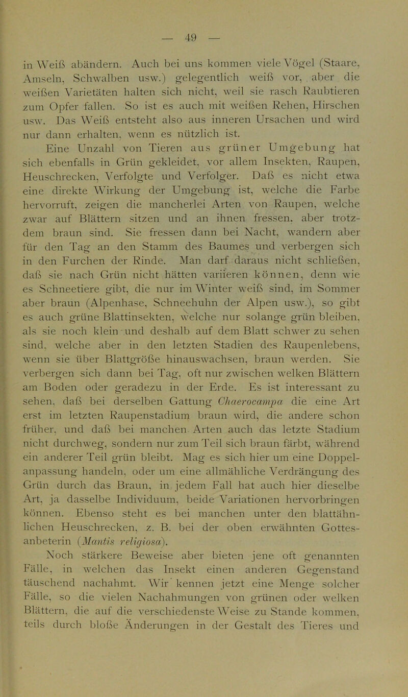 in Weiß abändern. Auch bei uns kommen viele Vögel (Staare, Amseln, Schwalben usw.) gelegentlich weiß vor, aber die weißen Varietäten halten sich nicht, weil sie rasch Raubtieren zum Opfer fallen. So ist es auch mit weißen Rehen, Hirschen usw. Das Weiß entsteht also aus inneren Ursachen und wird nur dann erhalten, wenn es nützlich ist. Eine Unzahl von Tieren aus grüner Umgebung hat sich ebenfalls in Grün gekleidet, vor allem Insekten, Raupen, Heuschrecken, Verfolgte und Verfolger. Daß es nicht etwa eine direkte Wirkung der Umgebung ist, welche die Farbe hervorruft, zeigen die mancherlei Arten von Raupen, welche zwar auf Blättern sitzen und an ihnen fressen, aber trotz- dem braun sind. Sie fressen dann bei Nacht, wandern aber für den Tag an den Stamm des Baumes und verbergen sich in den Furchen der Rinde. Man darf daraus nicht schließen, daß sie nach Grün nicht hätten variieren können, denn wie es Schneetiere gibt, die nur im Winter weiß sind, im Sommer aber braun (Alpenhase, Schneehuhn der Alpen usw.), so gibt es auch grüne Blattinsekten, welche nur solange grün bleiben, als sie noch klein und deshalb auf dem Blatt schwer zu sehen sind, welche aber in den letzten Stadien des Raupenlebens, wenn sie über Blattgröße hinauswachsen, braun werden. Sie verbergen sich dann bei Tag, oft nur zwischen welken Blättern am Boden oder geradezu in der Erde. Es ist interessant zu sehen, daß bei derselben Gattung Chaeroccimpa die eine Art erst im letzten Raupenstadium braun wird, die andere schon früher, und daß bei manchen Arten auch das letzte Stadium nicht durchweg, sondern nur zum Teil sich braun färbt, während ein anderer Teil grün bleibt. Mag es sich hier um eine Doppel- anpassung handeln, oder um eine allmähliche Verdrängung des Grün durch das Braun, in jedem Fall hat auch hier dieselbe Art. ja dasselbe Individuum, beide Variationen hervorbringen können. Ebenso steht es bei manchen unter den blattähn- lichen Heuschrecken, z. B. Hei der oben erwähnten Gottes- anbeterin (Mantis religiosd). Noch stärkere Beweise aber bieten jene oft genannten Fälle, in welchen das Insekt einen anderen Gegenstand täuschend nachahmt. Wir kennen jetzt eine Menge solcher Fälle, so die vielen Nachahmungen von grünen oder welken Blättern, die auf die verschiedenste Weise zuStande kommen, teils durch bloße Änderungen in der Gestalt des Tieres und