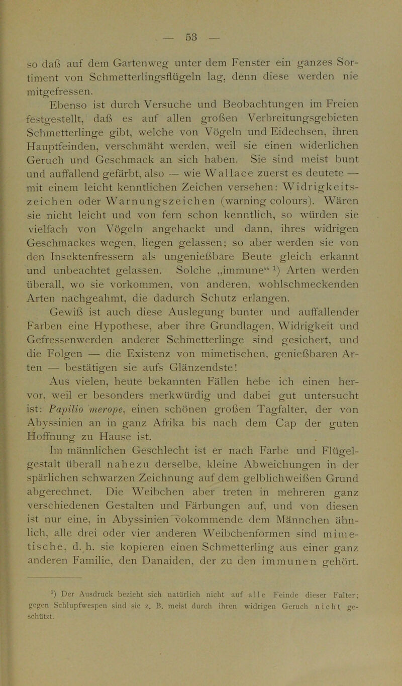so daß auf dem Gartenweg unter dem Fenster ein ganzes Sor- timent von Schmetterlingsflügeln lag, denn diese werden nie mitgefressen. Ebenso ist durch Versuche und Beobachtungen im Freien festgestellt, daß es auf allen großen Verbreitungsgebieten Schmetterlinge gibt, welche von Vögeln und Eidechsen, ihren Hauptfeinden, verschmäht werden, weil sie einen widerlichen Geruch und Geschmack an sich haben. Sie sind meist bunt und auffallend gefärbt, also — wie Wallace zuerst es deutete — mit einem leicht kenntlichen Zeichen versehen: Widrigkeits- zeichen oder Warnungszeichen (warning colours). Wären sie nicht leicht und von fern schon kenntlich, so würden sie vielfach von Vögeln angehackt und dann, ihres widrigen Geschmackes wegen, liegen gelassen; so aber werden sie von den Insektenfressern als ungenießbare Beute gleich erkannt und unbeachtet gelassen. Solche „immune“ x) Arten werden überall, wo sie Vorkommen, von anderen, wohlschmeckenden Arten nachgeahmt, die dadurch Schutz erlangen. Gewiß ist auch diese Auslegung bunter und auffallender Farben eine Hypothese, aber ihre Grundlagen, Widrigkeit und Gefressenwerden anderer Schmetterlinge sind gesichert, und die Folgen — die Existenz von mimetischen, genießbaren Ar- ten — bestätigen sie aufs Glänzendste! Aus vielen, heute bekannten Fällen hebe ich einen her- vor, weil er besonders merkwürdig und dabei gut untersucht ist: Papilio merope, einen schönen großen Tagfalter, der von Abyssinien an in ganz Afrika bis nach dem Cap der guten Hoffnung zu Hause ist. Im männlichen Geschlecht ist er nach Farbe und Flügel- gestalt überall nahezu derselbe, kleine Abweichungen in der spärlichen schwarzen Zeichnung auf dem gelblichweißen Grund abgerechnet. Die Weibchen aber treten in mehreren ganz verschiedenen Gestalten und Färbungen auf, und von diesen ist nur eine, in Abyssinien vokommende dem Männchen ähn- lich. alle drei oder vier anderen Weibchenformen sind mime- tische, d. h. sie kopieren einen Schmetterling aus einer ganz anderen Familie, den Danaiden, der zu den immunen gehört. ') Der Ausdruck bezieht sich natürlich nicht auf alle Feinde dieser Falter; gegen Schlupfwespen sind sie z. B. meist durch ihren widrigen Geruch nicht ge- schützt.