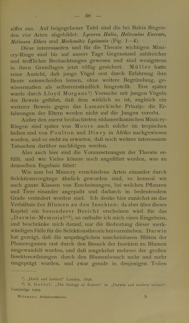 Ziffer aus. Auf beigegebener Tafel sind die bei Bahia fliegen- den vier Arten abgebildet: Lycorea Halia, Heliconius Eucrate, Melinaea Ethra und Mechanitis Lysimnia (Fig. 1—4). Diese interessanten und für die Theorie wichtigen Mimi- cry-Ringe sind bis auf unsere Tage Gegenstand zahlreicher und trefflicher Beobachtungen gewesen und sind wenigstens in ihren Grundlagen jetzt völlig gesichert. Müller hatte seine Ansicht, daß junge Vögel erst durch Erfahrung ihre Beute unterscheiden lernen, ohne weitere Begründung, ge- wissermaßen als selbstverständlich hingestellt. Erst später wurde durch Lloyd Morgans1) Versuche mit jungen Vögeln der Beweis geführt, daß dem wirklich so ist, zugleich ein weiterer Beweis gegen das Lamarck’sche Prinzip; die Er- fahrungen der Eltern werden nicht auf die Jungen vererbt. Außer den zuerst beobachteten südamerikanischen Mimicry- Ringen sind später von Moore auch solche im tropischen Indien und von Poulton und Dixey in Afrika nachgewiesen worden, und es steht zu erwarten, daß noch weitere interessante Tatsachen darüber nachfolgen werden. Also auch hier sind die Voraussetzungen der Theorie er- füllt, und wie Vieles könnte noch angeführt werden, was zu demselben Ergebnis führt! Wie nun bei Mimicry verschiedene Arten einander durch Selektionsvorgänge ähnlich geworden sind, so kennen wir auch ganze Klassen von Erscheinungen, bei welchen Pflanzen und Tiere einander angepaßt und dadurch in bedeutendem Grade verändert worden sind. Ich denke hier zunächst an das Verhältnis der Blumen zu den Insekten; da aber über dieses Kapitel ein besonderer Bericht erscheinen wird für das „D arw in - Memorial“2), so enthalte ich mich eines Eingehens, und beschränke mich darauf, nur die Bedeutung dieser merk- würdigen Fälle für die Selektionstheorie hervorzuheben. Darwin hat gezeigt, daß die ursprünglichen unscheinbaren Blüten der Phanerogamen erst durch den Besuch der Insekten zu Blumen umgewandelt wurden, und daß umgekehrt mehrere der großen Insektenordnungen durch den Blumenbesuch mehr und mehr umgeprägt wurden, und zwar gerade in denjenigen Teilen 1) „Habit and Instinct“ London, 1896. 2) K. Goebel, „The biology of flowers“ in „Darwin and modern Science“. Cambridge 1909. Weismann, Selektionstheorie. 5