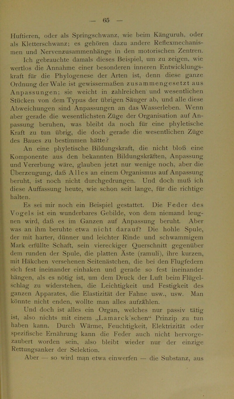 Huftieren, oder als Springsehwanz, wie beim Känguruh, oder als Kletterschwanz; es gehören dazu andere Reflexmechanis- men und Nervenzusammenhänge in den motorischen Zentren. Ich gebrauchte damals dieses Beispiel, um zu zeigen, wie wertlos die Annahme einer besonderen inneren Entwicklungs- kraft für die Phylogenese der Arten ist, denn diese ganze Ordnung derWale ist gewissermaßen zusammengesetzt aus Anpassungen; sie weicht in zahlreichen und wesentlichen Stücken von dem Typus der übrigen Säuger ab, und alle diese Abweichungen sind Anpassungen an das Wasserleben. Wenn aber gerade die wesentlichsten Züge der Organisation auf An- passung beruhen, was bleibt da noch für eine phyletische Kraft zu tun übrig, die doch gerade die wesentlichen Züge des Baues zu bestimmen hätte? An eine phyletische Bildungskraft, die nicht bloß eine Komponente aus den bekannten Bildungskräften, Anpassung und Vererbung wäre, glauben jetzt nur wenige noch, aber die Überzeugung, daß Alles an einem Organismus auf Anpassung beruht, ist noch nicht durchgedrungen. Und doch muß ich diese Auffassung heute, wie schon seit lange, für die richtige halten. Es sei mir noch ein Beispiel gestattet. Die Feder des Vogels ist ein wunderbares Gebilde, von dem niemand leug- nen wird, daß es im Ganzen auf Anpassung beruht. Aber was an ihm beruhte etwa nicht darauf? Die hohle Spule, der mit harter, dünner und leichter Rinde und schwammigem Mark erfüllte Schaft, sein viereckiger Querschnitt gegenüber dem runden der Spule, die platten Äste (ramuli), ihre kurzen, mit Häkchen versehenen Seitenästchen, die bei den Flugfedern sich fest ineinander einhaken und gerade so fest ineinander hängen, als es nötig ist, um dem Druck der Luft beim Flügel- schlag zu widerstehen, die Leichtigkeit und Festigkeit des ganzen Apparates, die Elastizität der Fahne usw., usw. Man könnte nicht enden, wollte man alles aufzählen. Und doch ist alles ein Organ, welches nur passiv tätig ist, also nichts mit einem „Lamarck’schen“ Prinzip zu tun haben kann. Durch Wärme, Feuchtigkeit, Elektrizität oder spezifische Ernährung kann die Feder auch nicht hervorge- zaubert worden sein, also bleibt wieder nur der einzige Rettungsanker der Selektion. Aber — so wird man etwa einwerfen — die Substanz, aus