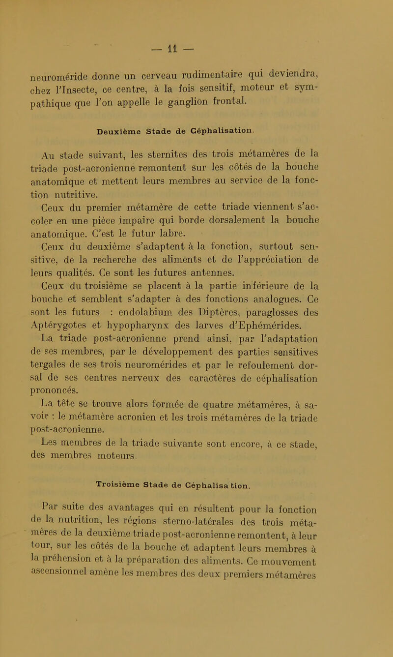 iiBuromérids donnG un cGrvGciu rudiniGiitnirG (][ui dGviGiidrû, chGz rinsGCtG, CG cGntrG, à la fois sensitif, moteur Gt sym- pathiquG que l’on appelle le ganglion frontal. Deuxième Stade de Céphalisation. Au stade suivant, les stcrnitos des trois métamèros de la triade post-acronienne remontent sur les côtés de la bouche anatomique et mettent leurs membres au service de la fonc- tion nutritive. Ceux du premier métamère de cette triade viennent s’ac- coler en une pièce impaire qui borde dorsalement la bouche anatomique. C’est le futur labre. Ceux du deuxième s’adaptent à la fonction, surtout sen- sitive, de la recherche des aliments et de l’appréciation de leurs qualités. Ce sont les futures antennes. Ceux du troisième se placent à la partie inférieure de la bouche et semblent s’adapter à des fonctions analogues. Ce sont les futurs : endolabium. des Diptères, paraglosses des Aptérygotes et hypopharynx des larves d’Ephémérides. I<a triade post-acronienne prend ainsi, par l’adaptation de ses membres, par le développement des parties sensitives tergales de ses trois neuromérides et par le refoulement dor- sal de ses centres nerveux des caractères de céphalisation prononcés. La tête se trouve alors formée de quatre métamères, à sa- voir : le métamère acronien et les trois m.étaro.ères de la triade post-acronienne. Les membres de la triade suivante sont encore, à ce stade, des membres moteurs. Troisième Stade de Céphalisa tion. Par suite des avantages qui en résultent pour la fonction de la nutrition, les régions sterno-latérales des trois méta- mères de la deuxième triade post-acronienne remontent, à leur tour, sur les côtés de la bouche et adaptent leurs membres à la préhension et à la préparation des aliments. Ce mouvement ascensionnel amène les membres des deux j)remiers métamères