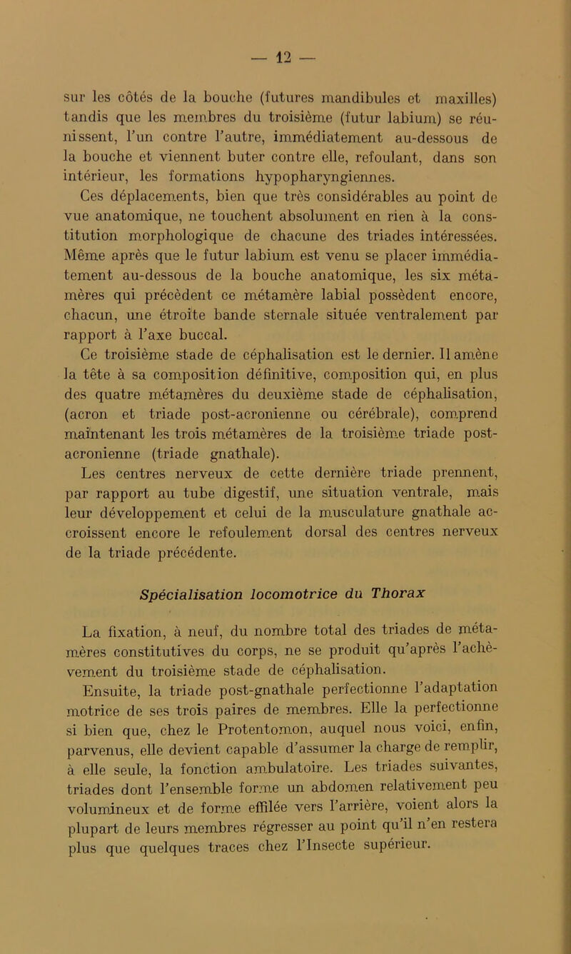 sur les côtés de la bouche (futures mandibules et maxilles) tandis que les membres du troisième (futur labium) se réu- nissent, Tun contre l’autre, immédiatement au-dessous de la bouche et viennent buter contre elle, refoulant, dans son intérieur, les formations hypopharyngiennes. Ces déplacem.ents, bien que très considérables au point de vue anatomique, ne touchent absolument en rien à la cons- titution morphologique de chacune des triades intéressées. Même après que le futur labium est venu se placer immédia- tement au-dessous de la bouche anatomique, les six méta- mères qui précèdent ce métamère labial possèdent encore, chacun, ime étroite bande sternale située ventralement par rapport à l’axe buccal. Ce troisième stade de céphalisation est le dernier. Il amène la tête à sa composition définitive, coro.position qui, en plus des quatre métamères du deuxième stade de céphalisation, (acron et triade post-acronienne ou cérébrale), coro.prend maintenant les trois métamères de la troisième triade post- acronienne (triade gnathale). Les centres nerveux de cette dernière triade prennent, par rapport au tube digestif, une situation ventrale, mais leur développement et celui de la musculature gnathale ac- croissent encore le refoulem.ent dorsal des centres nerveux de la triade précédente. Spécialisation locomotrice du Thorax La fixation, à neuf, du nombre total des triades de méta- mères constitutives du corps, ne se produit qu’après 1 achè- vement du troisième stade de céphalisation. Ensuite, la triade post-gnathale perfectionne 1 adaptation motrice de ses trois paires de membres. Elle la perfectionne si bien que, chez le Protentomon, auquel nous voici, enfin, parvenus, elle devient capable d’assumer la charge de remplir, à elle seule, la fonction ambulatoire. Les triades suivantes, triades dont l’ensemble forme un abdomen relativement peu volumineux et de forme effilée vers I arrière, voient alors la plupart de leurs membres régresser au point qu’il n’en restera plus que quelques traces chez l’Insecte supérieur.